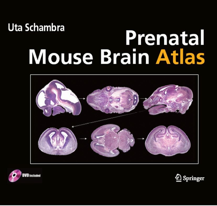Cover Prenatal Mouse Brain Atlas