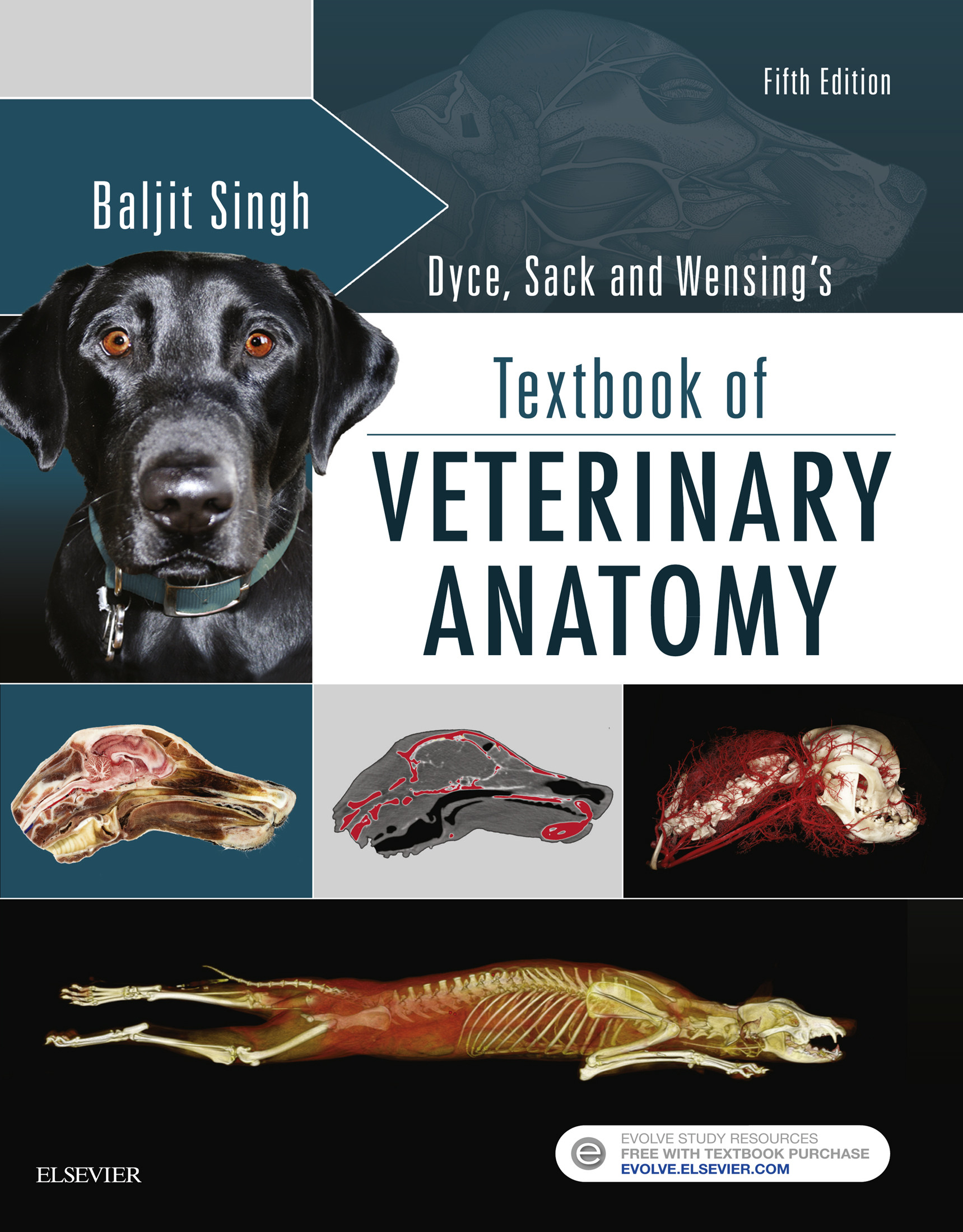 Cover Dyce, Sack and Wensing's Textbook of Veterinary Anatomy - E-Book