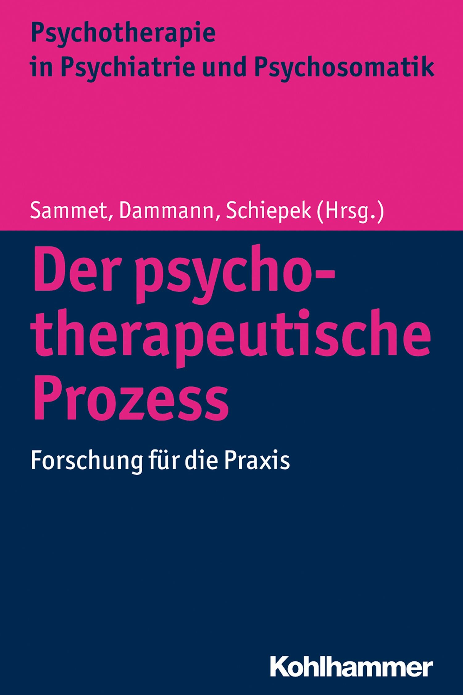Der psychotherapeutische Prozess