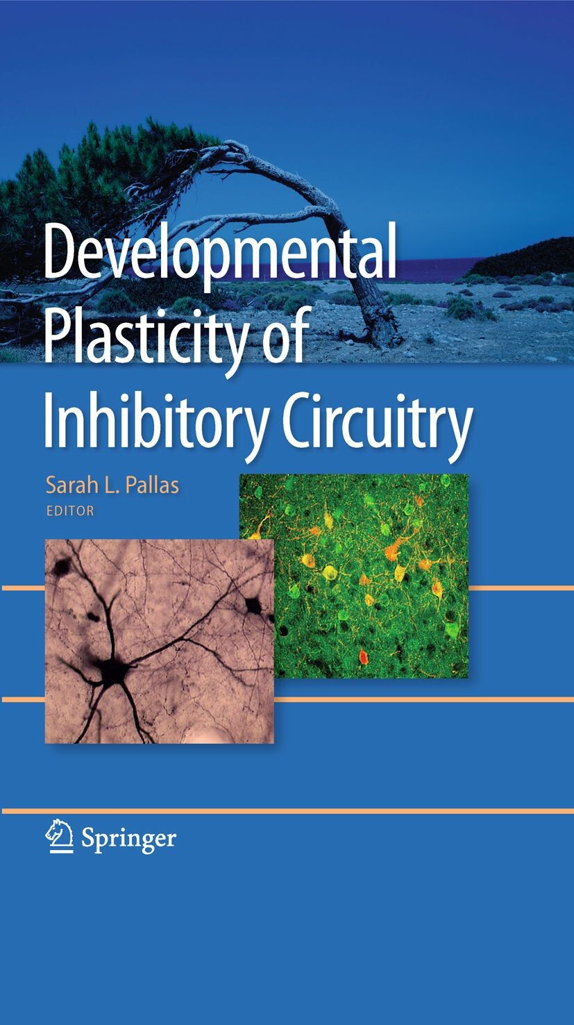 Cover Developmental Plasticity of Inhibitory Circuitry