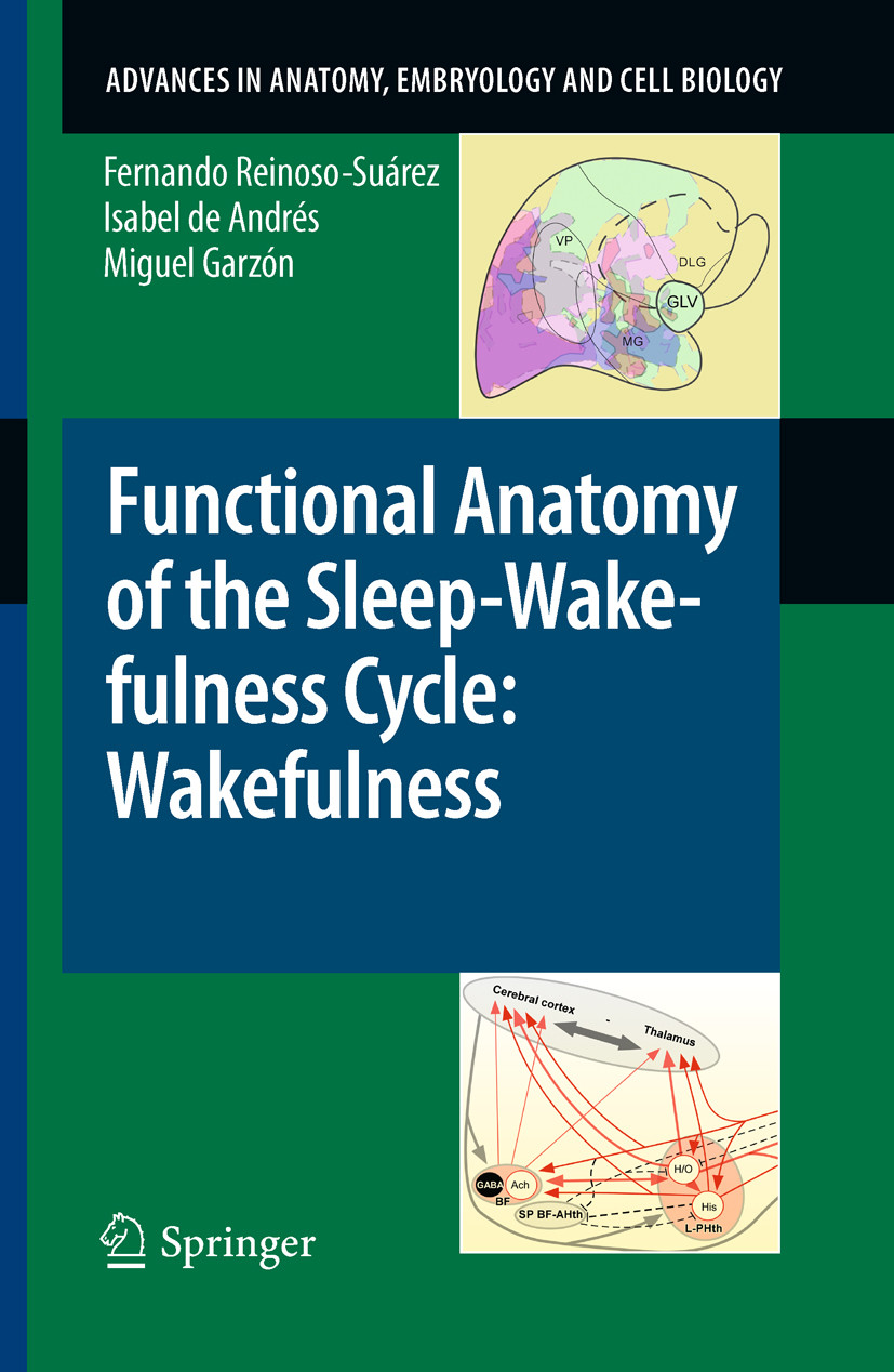 Cover Functional Anatomy of the Sleep-Wakefulness Cycle: Wakefulness