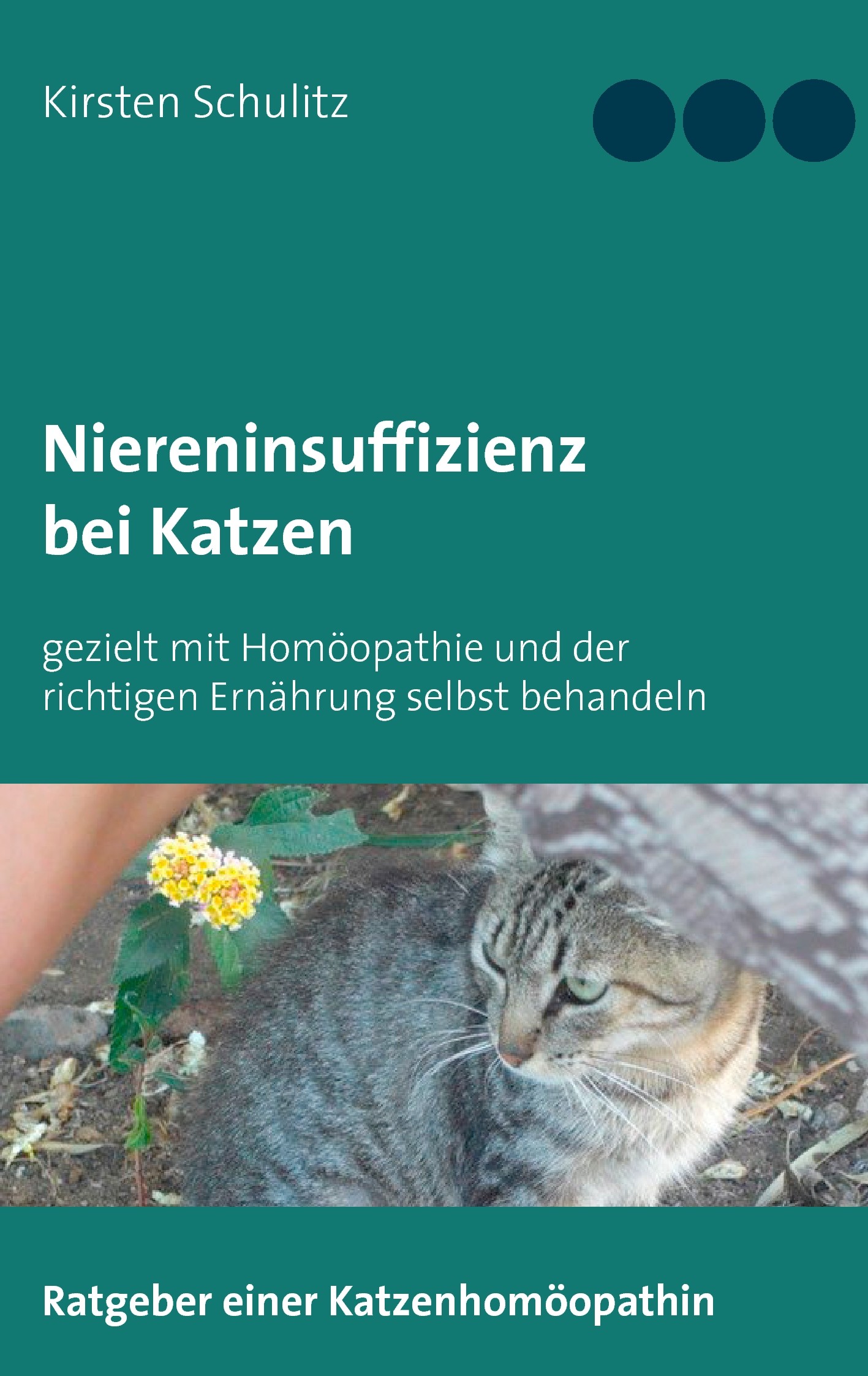 Cover Niereninsuffizienz bei Katzen