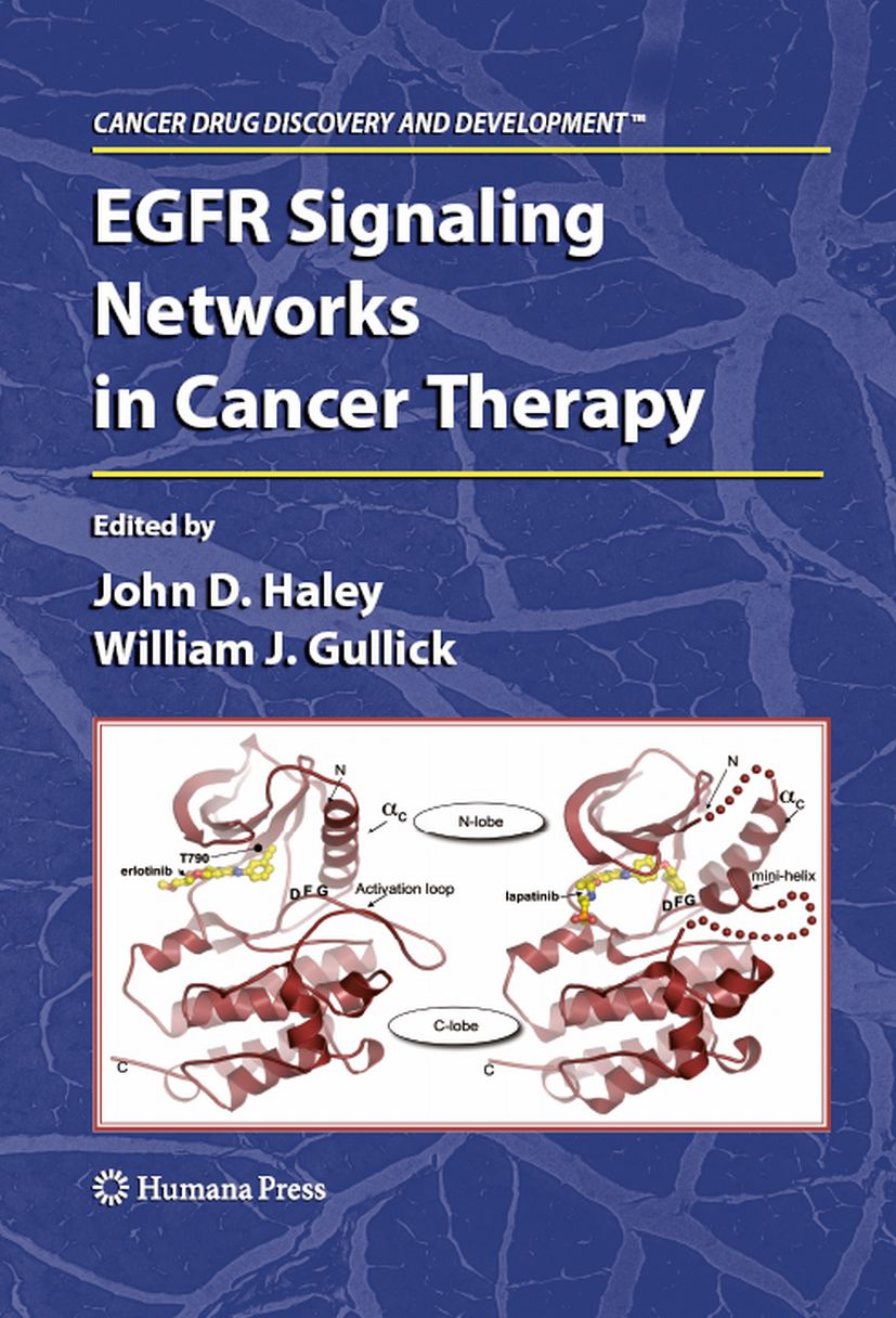 Cover EGFR Signaling Networks in Cancer Therapy