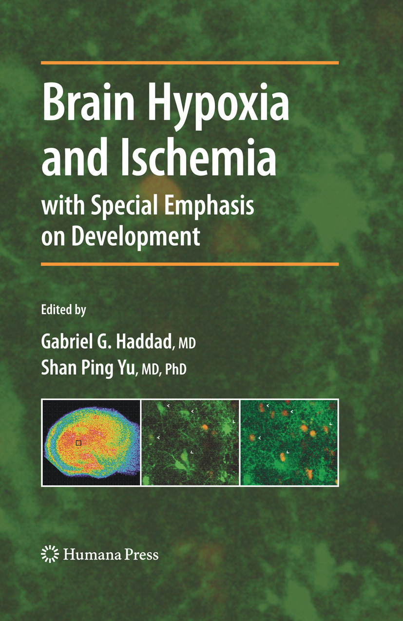 Cover Brain Hypoxia and Ischemia