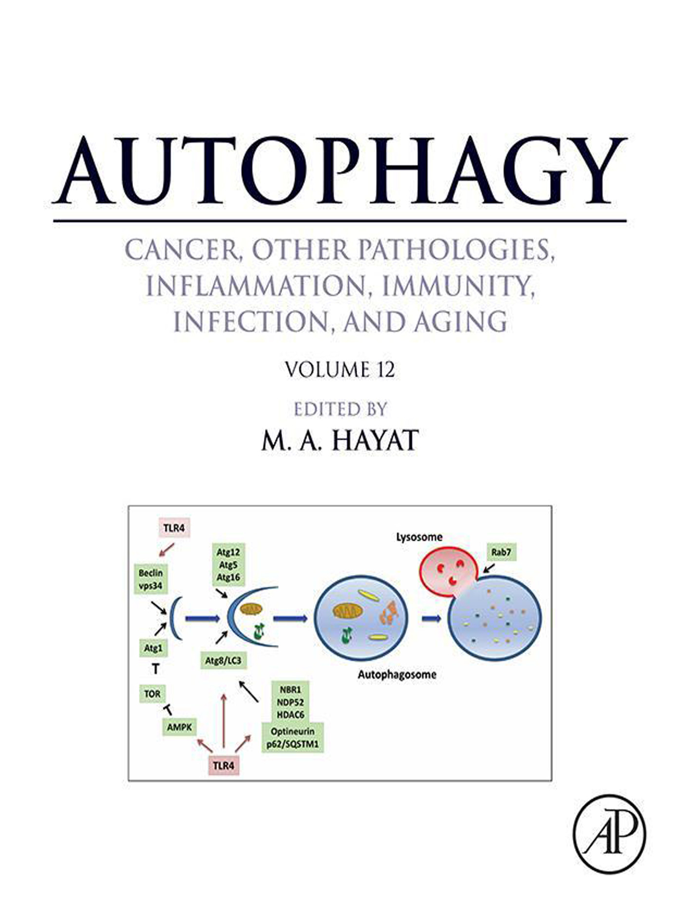 Cover Autophagy: Cancer, Other Pathologies, Inflammation, Immunity, Infection, and Aging
