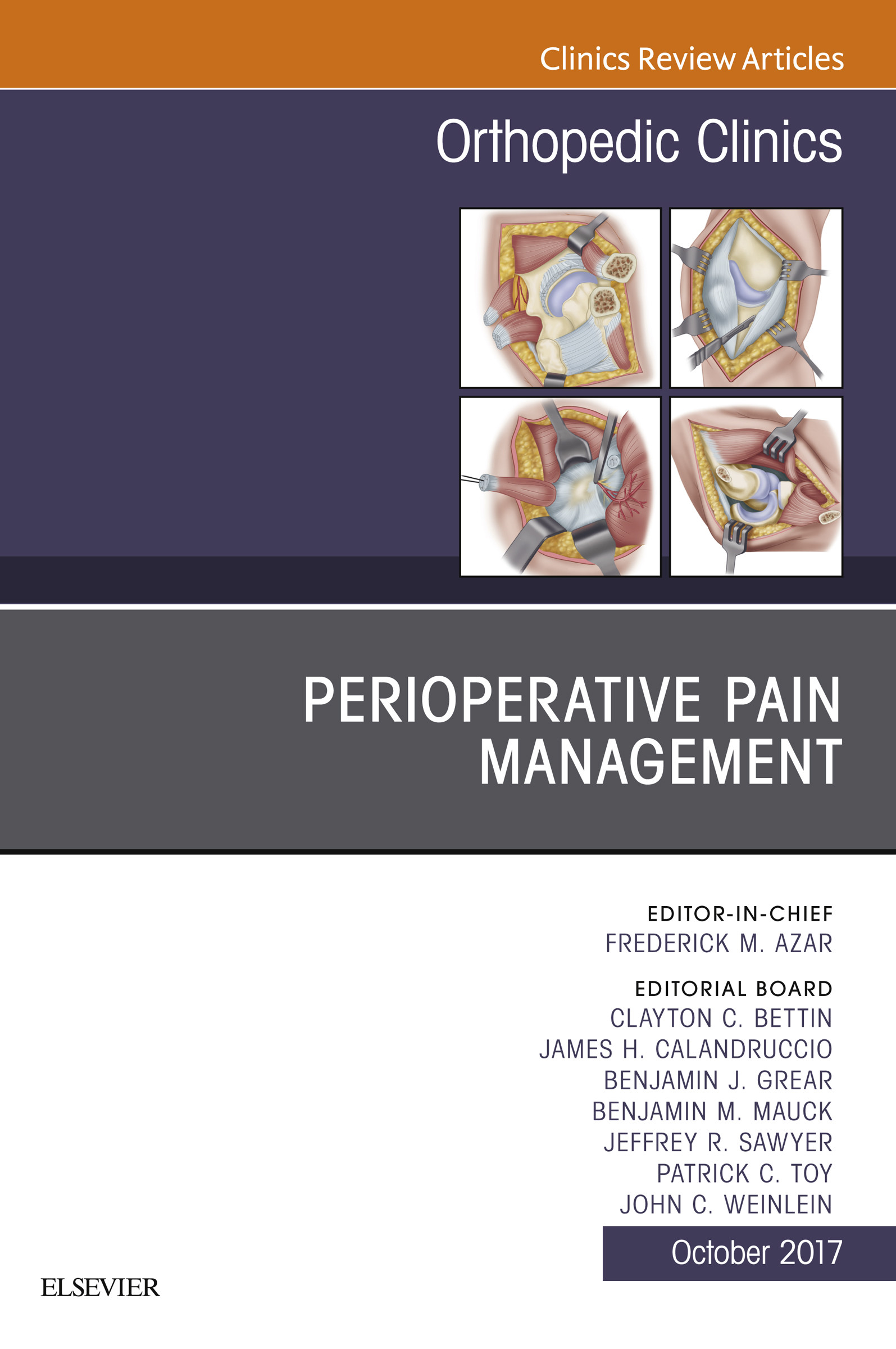 Cover Perioperative Pain Management, An Issue of Orthopedic Clinics, E-Book