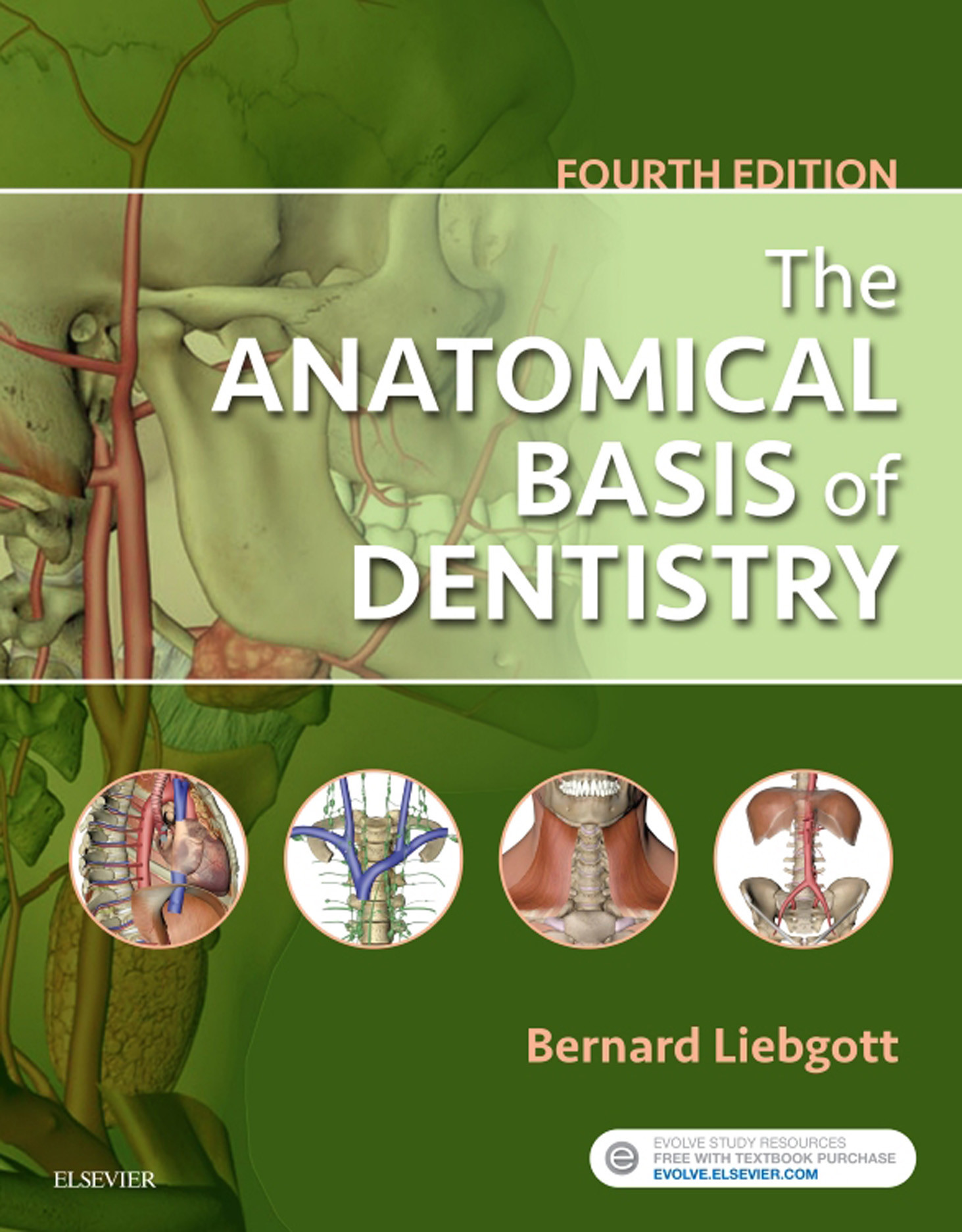 The Anatomical Basis of Dentistry EBook EBook