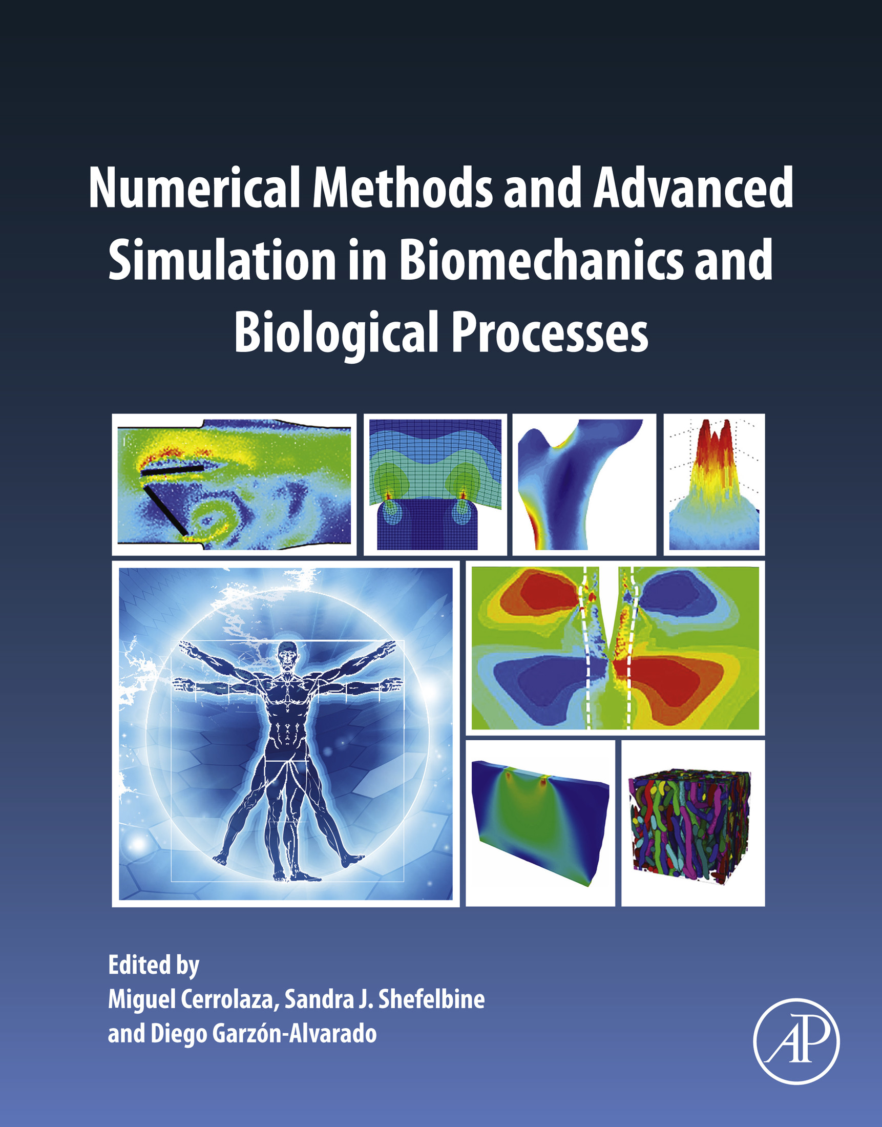 Cover Numerical Methods and Advanced Simulation in Biomechanics and Biological Processes