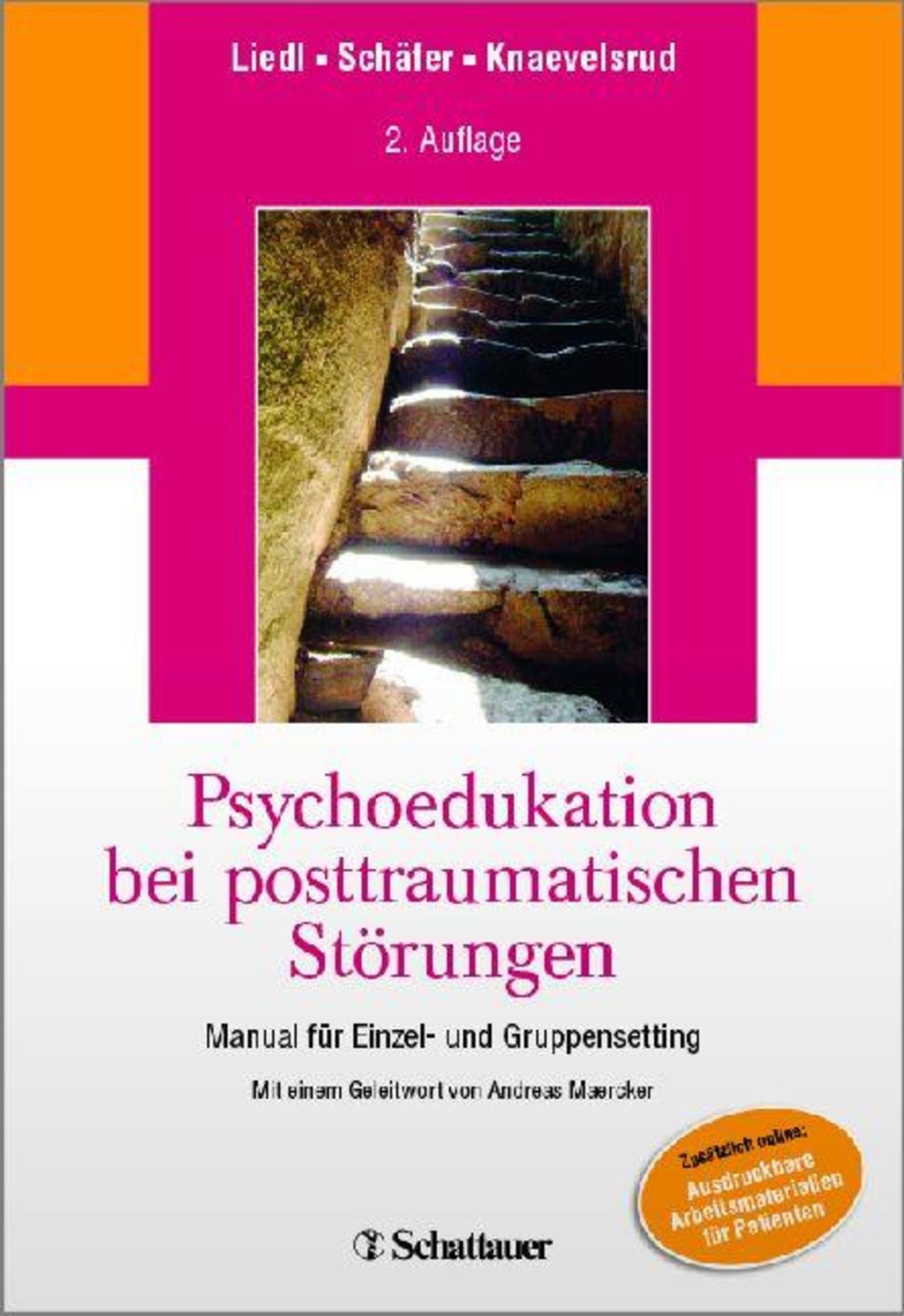 Cover Psychoedukation bei posttraumatischen Störungen