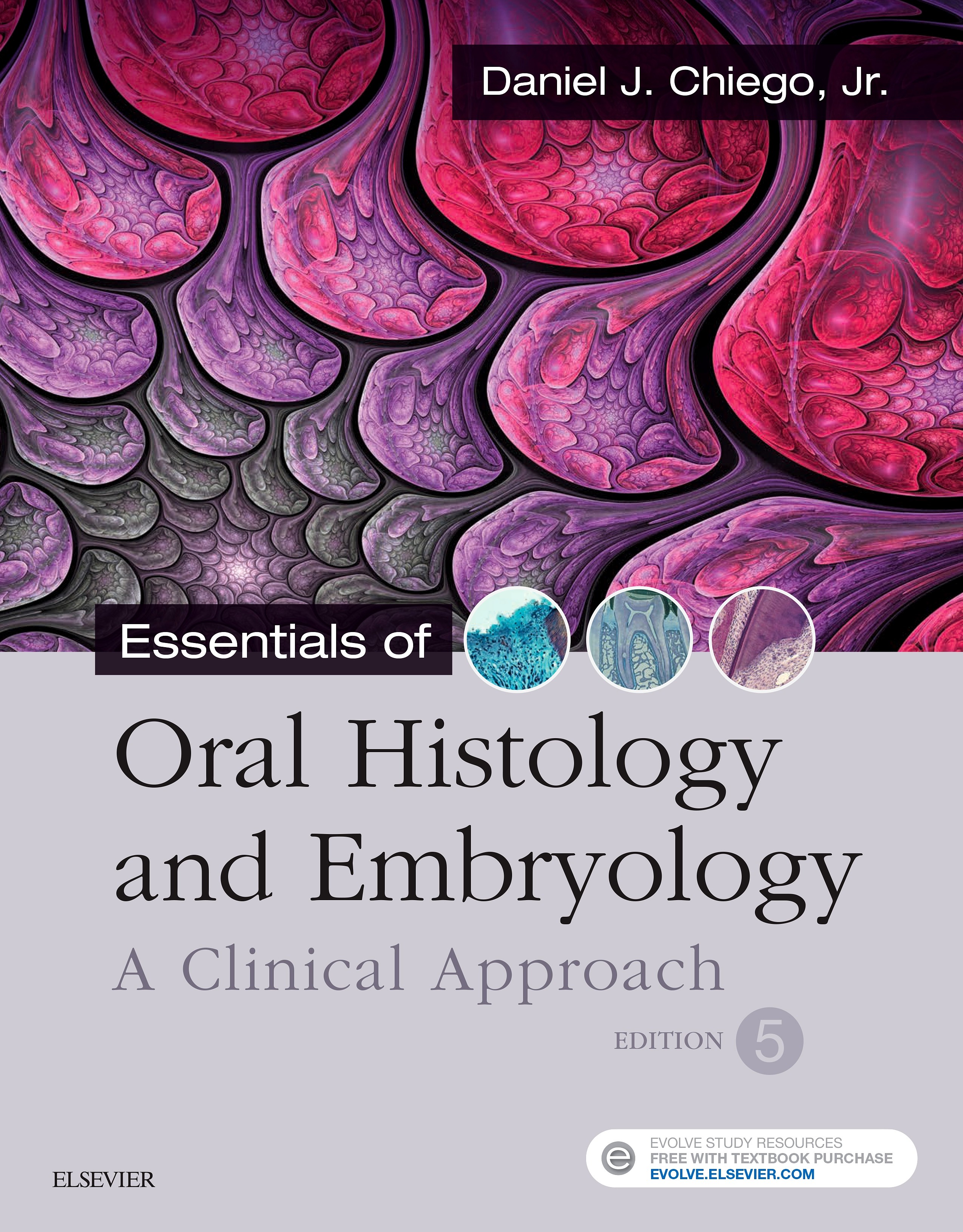 Cover Essentials of Oral Histology and Embryology E-Book