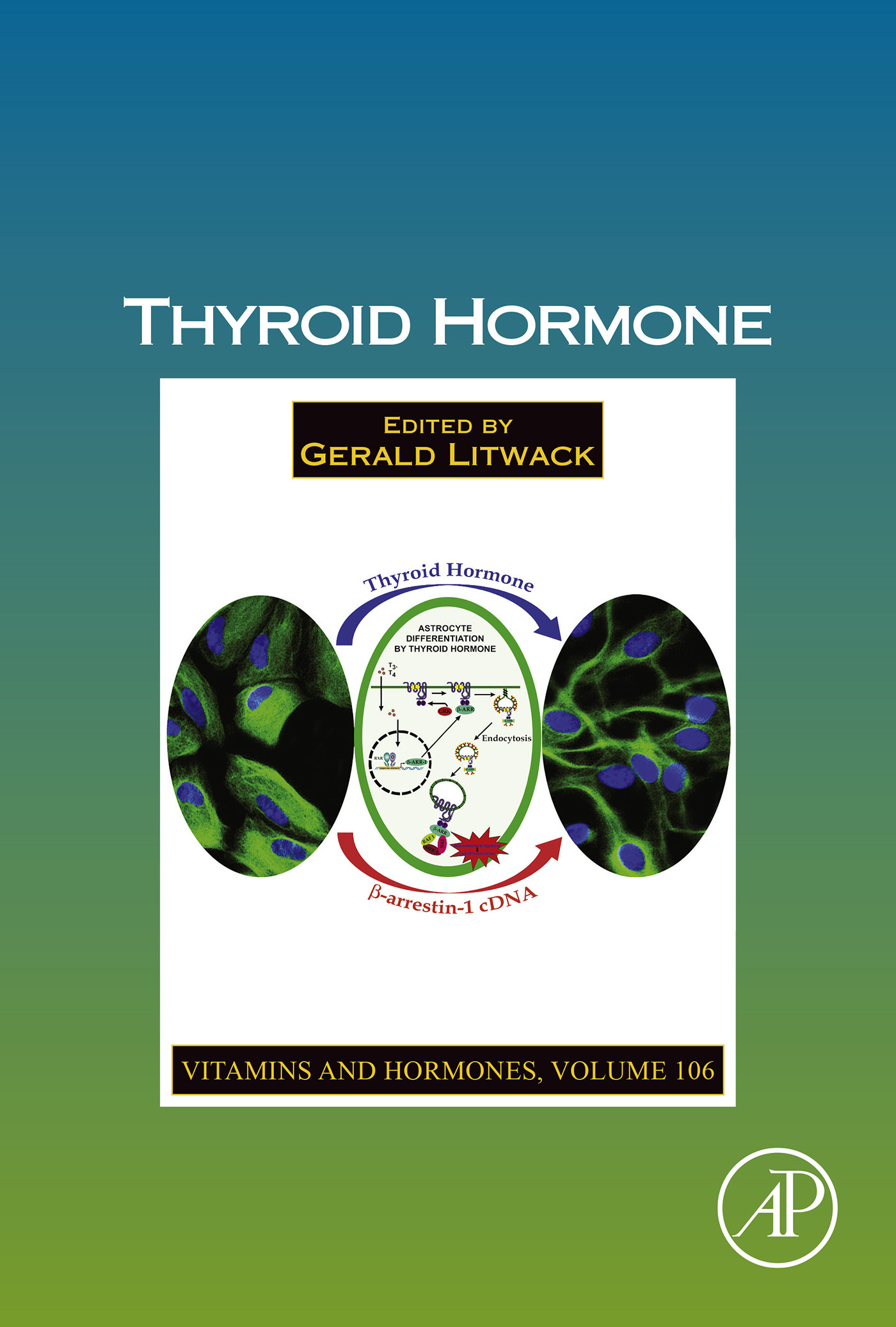 Cover Thyroid Hormone
