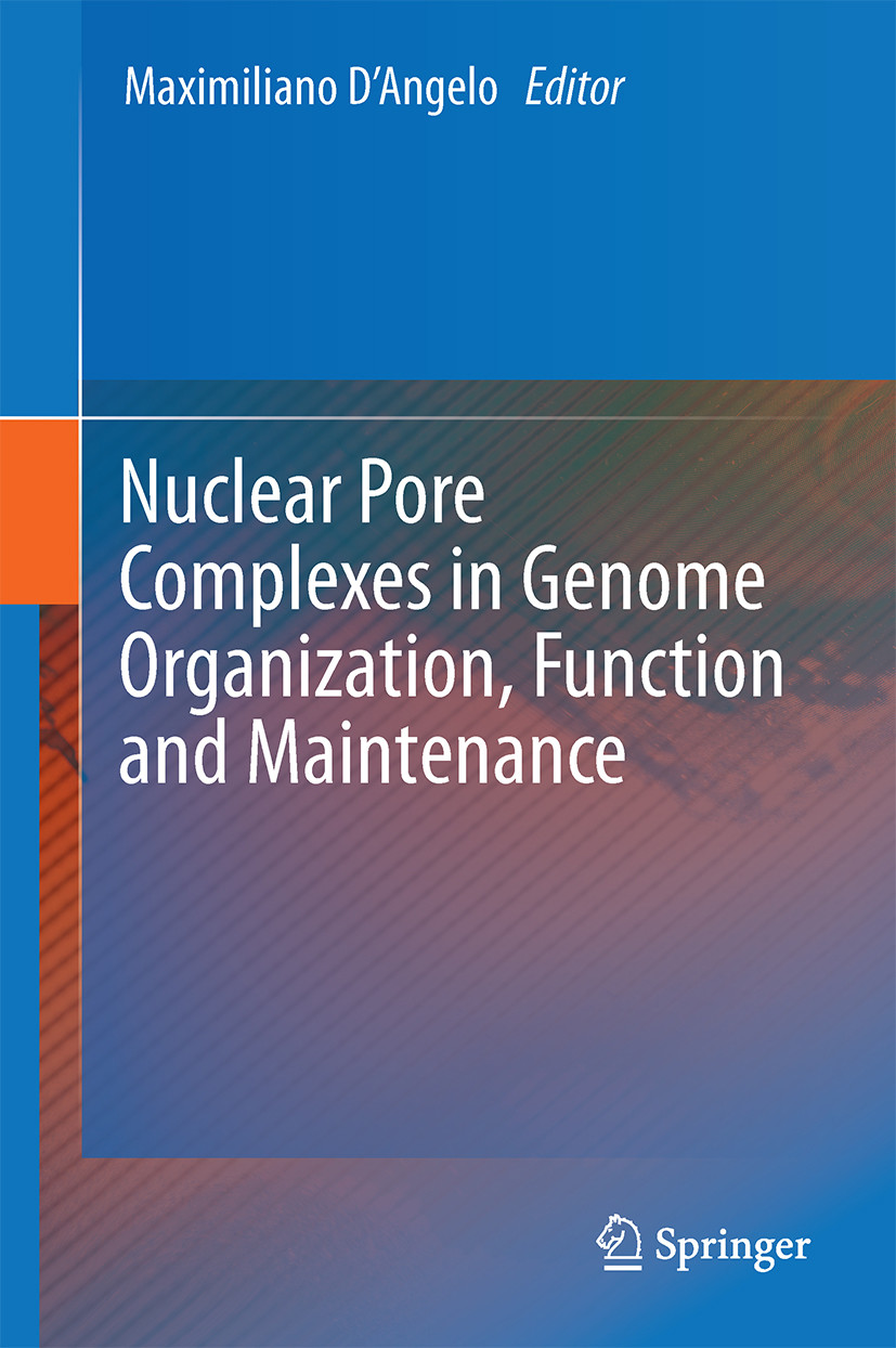 Cover Nuclear Pore Complexes in Genome Organization, Function and Maintenance