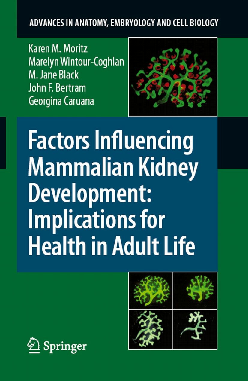 Cover Factors Influencing Mammalian Kidney Development: Implications for Health in Adult Life