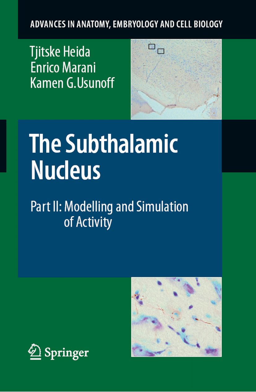 The Subthalamic Nucleus