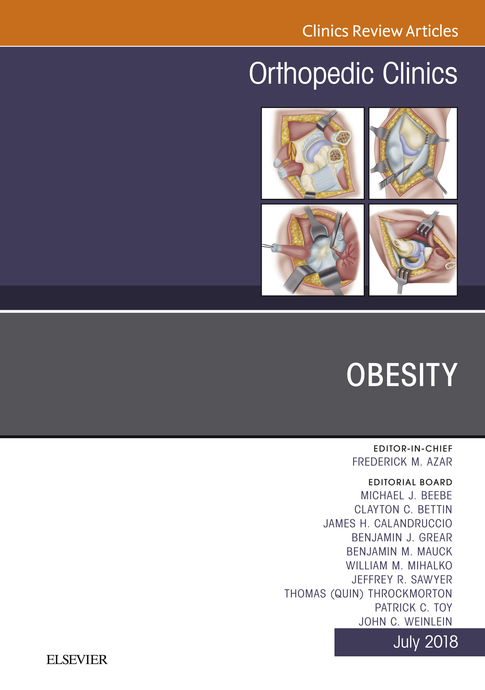 Cover Obesity, An Issue of Orthopedic Clinics, E-Book