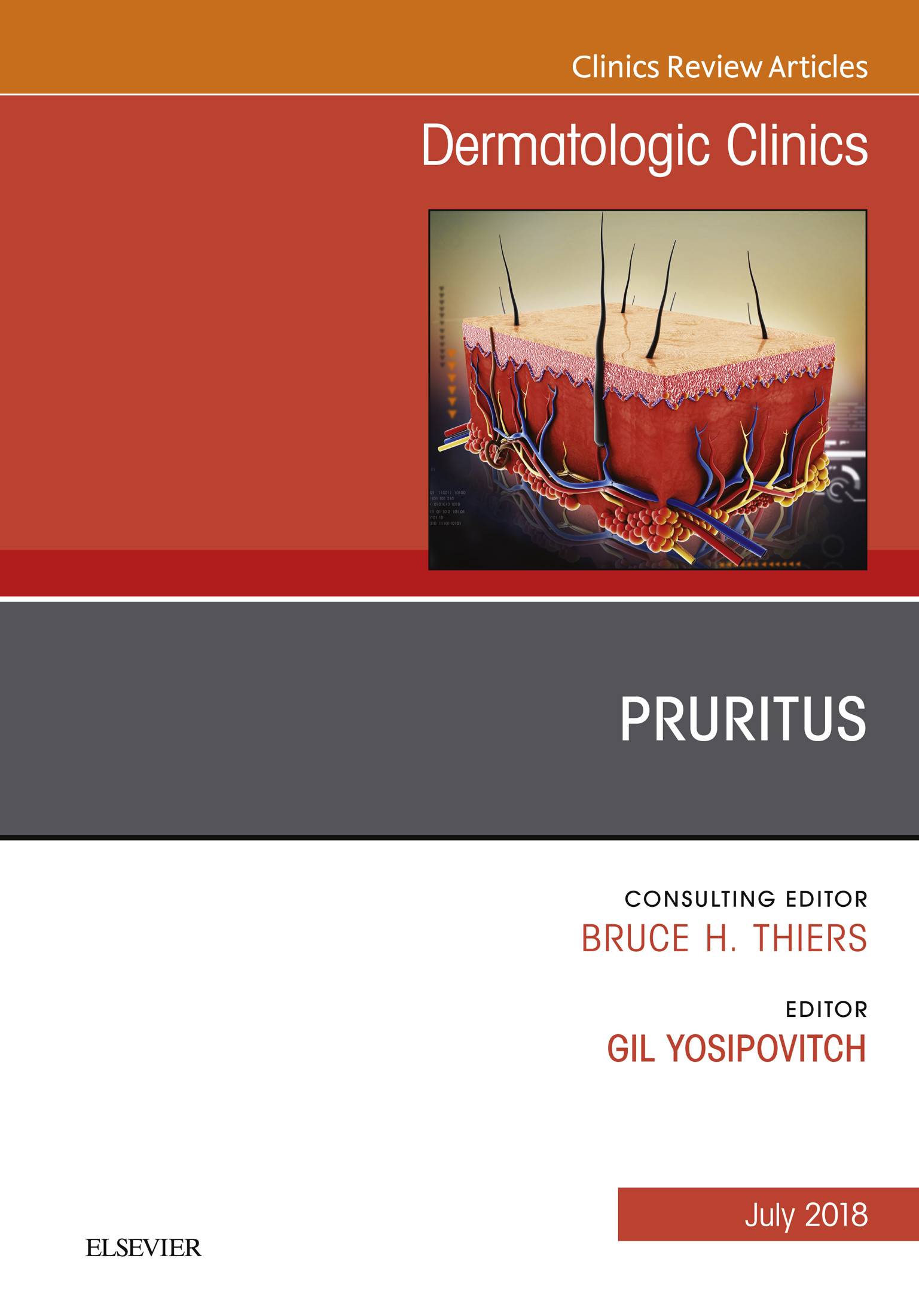 Cover Pruritus, An Issue of Dermatologic Clinics, E-Book