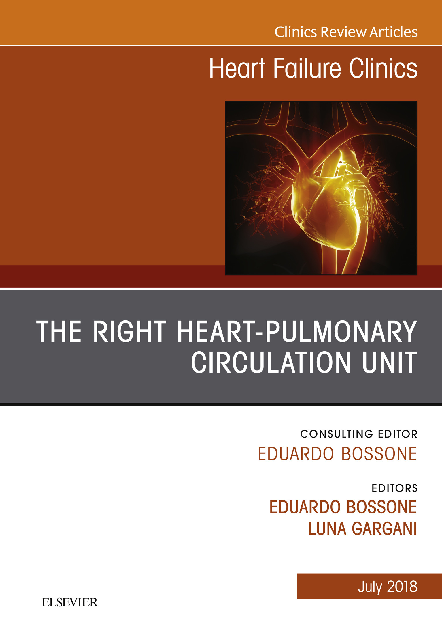 The Right Heart -  Pulmonary Circulation Unit, An Issue of Heart Failure Clinics E-Book