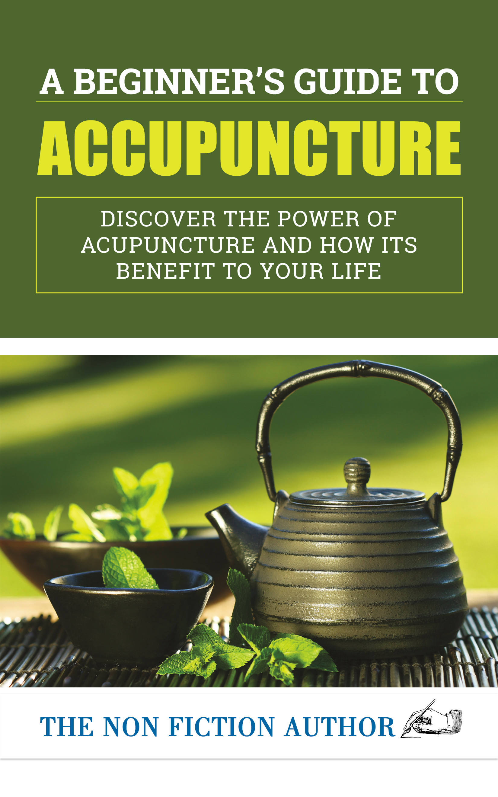 Cover A Beginner's Guide to Acupuncture