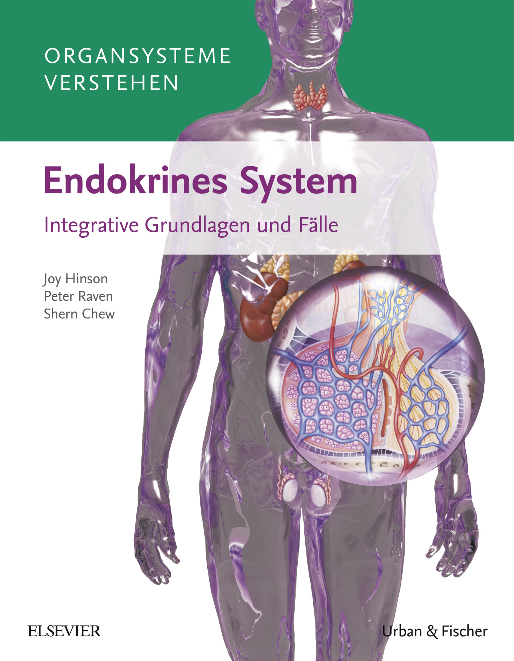 Cover Organsysteme: Endokrines System eBook