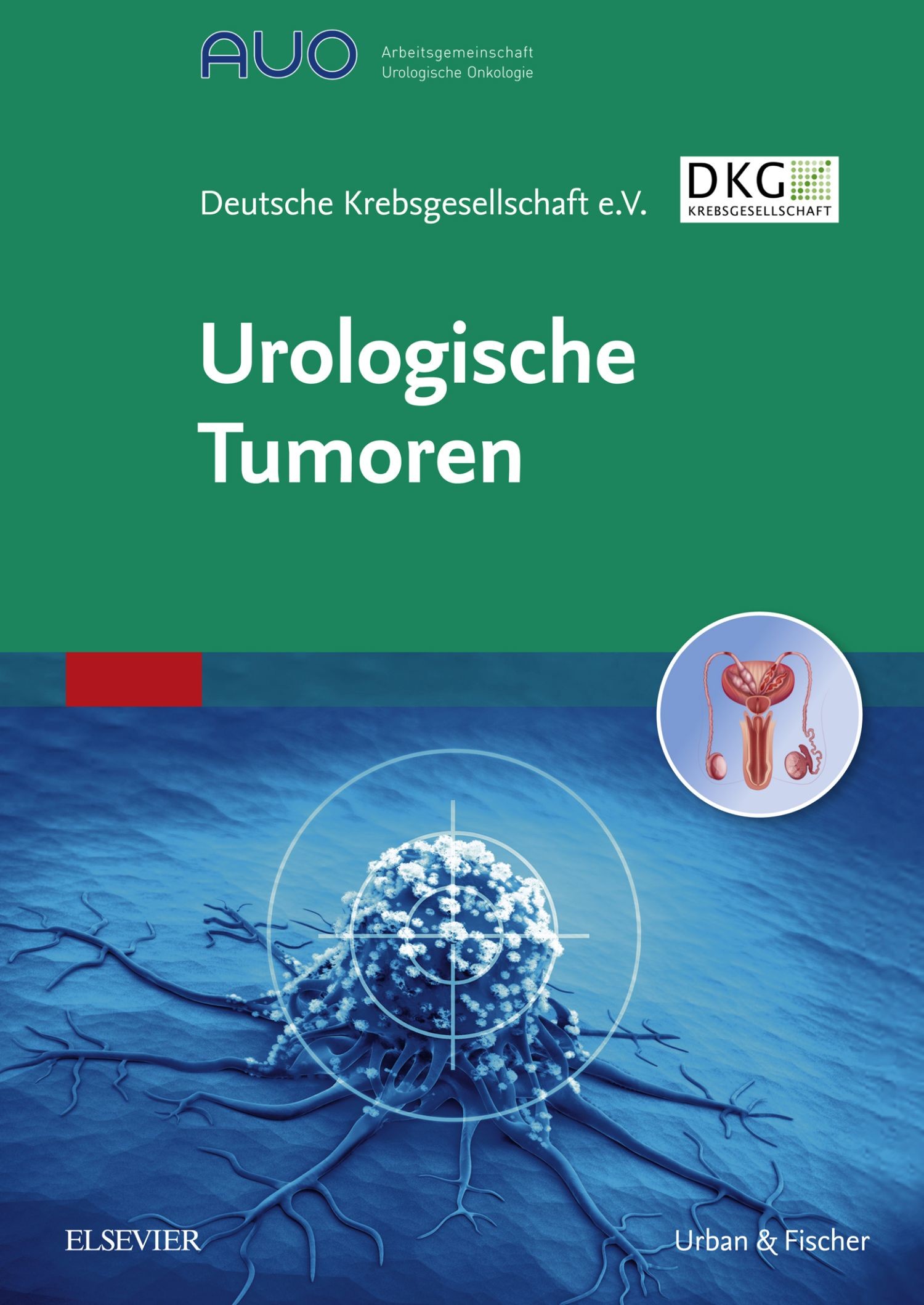 Urologische Tumoren