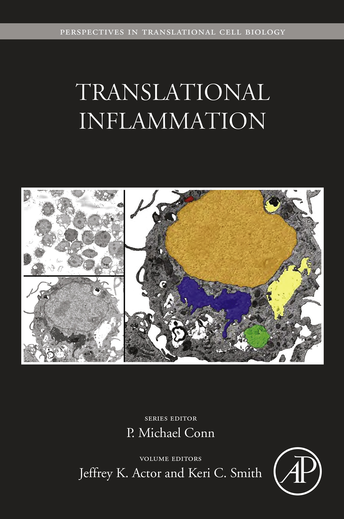 Cover Translational Inflammation