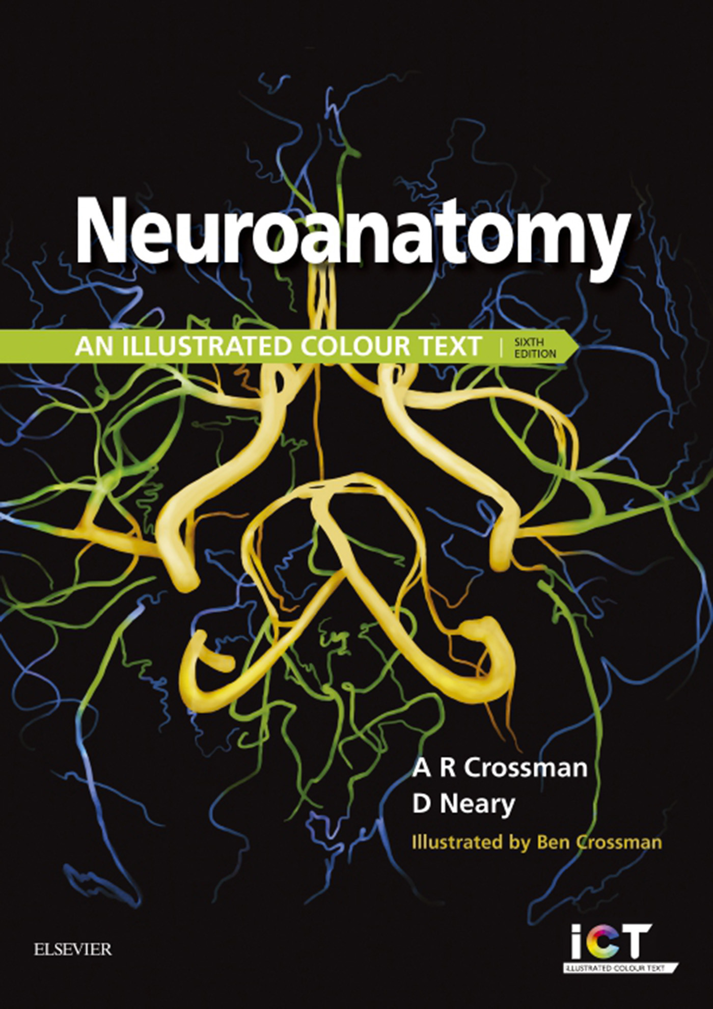 Cover Neuroanatomy: an Illustrated Colour Text