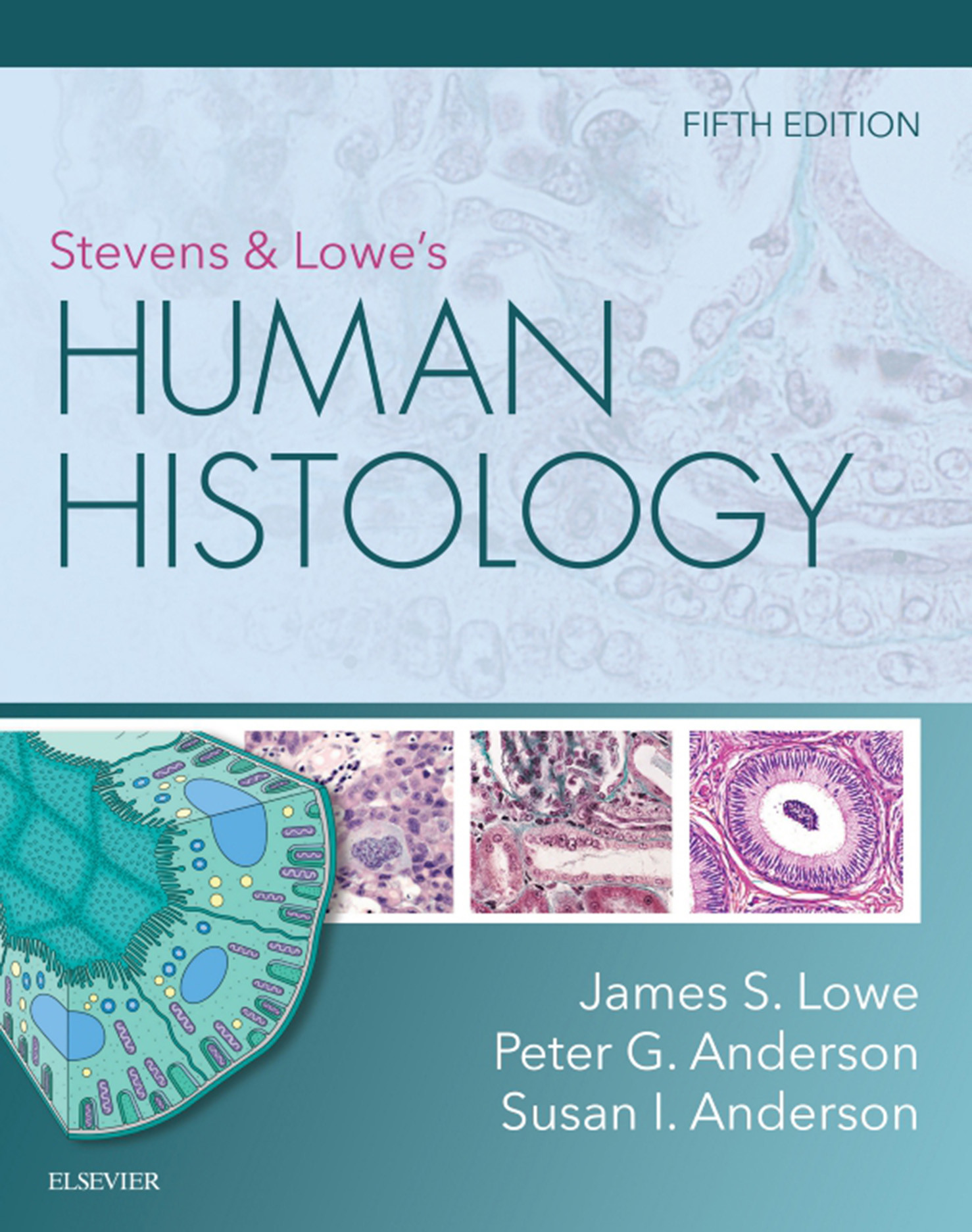 Cover Stevens & Lowe's Human Histology