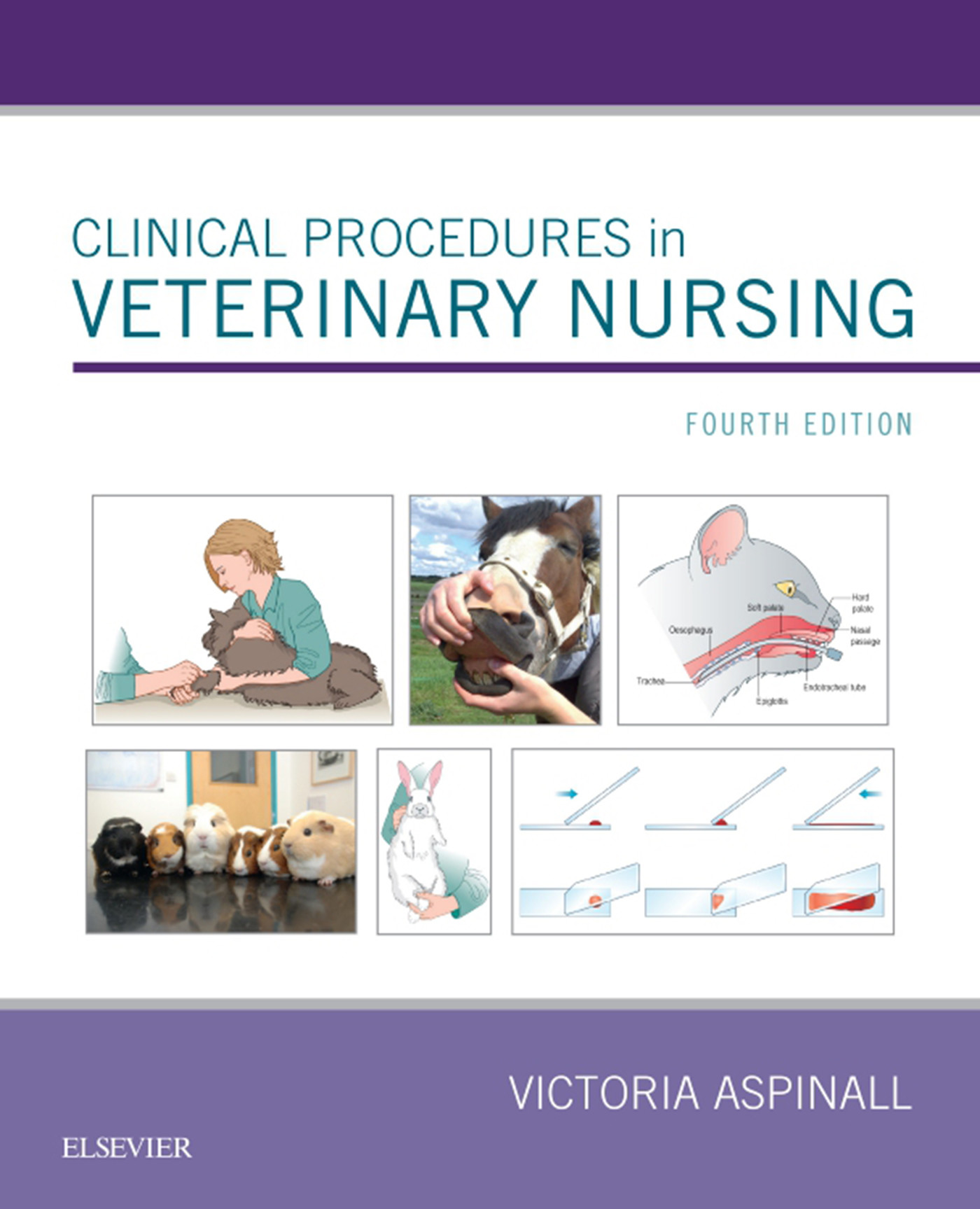 Clinical Procedures in Veterinary Nursing EBook EBook