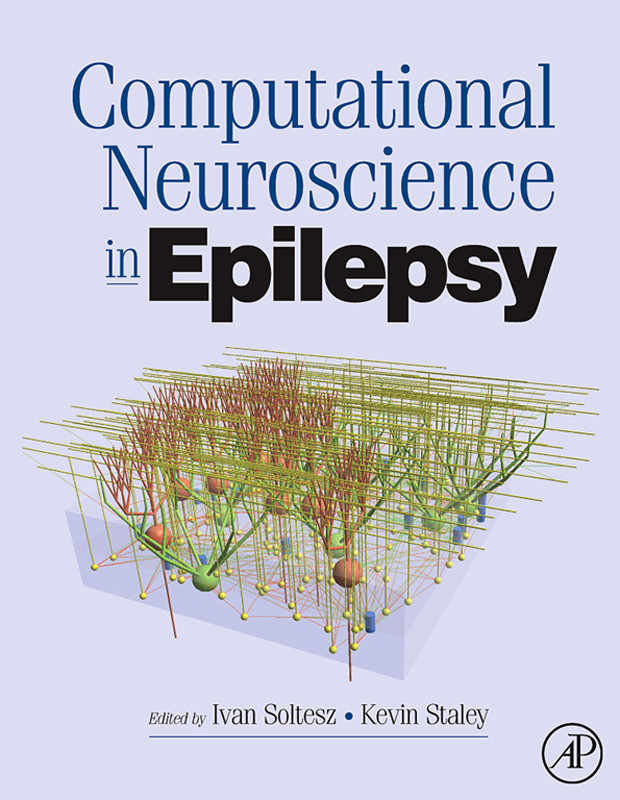 Cover Computational Neuroscience in Epilepsy