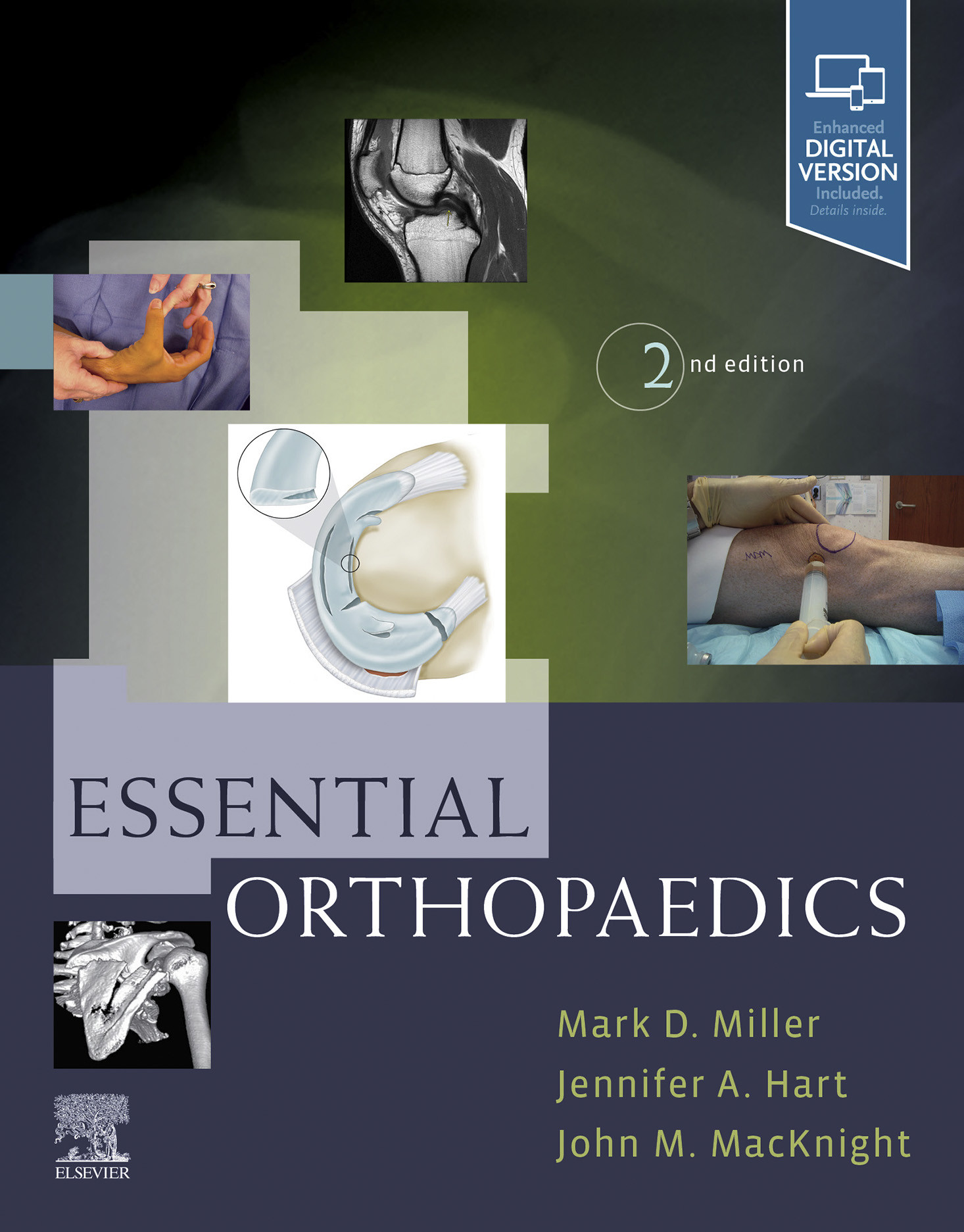 Cover Essential Orthopaedics E-Book