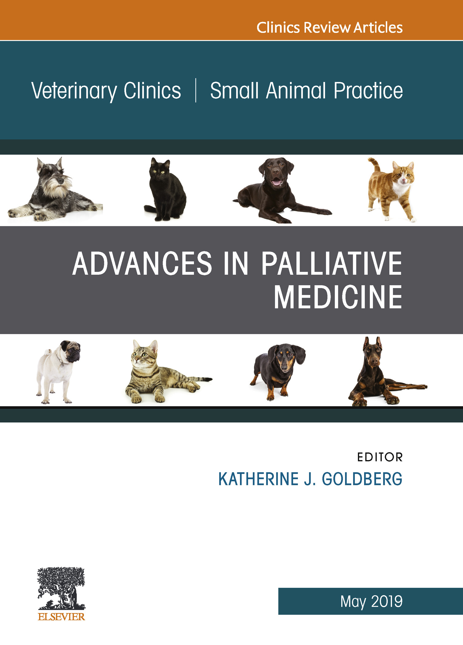 Palliative Medicine and Hospice Care, An Issue of Veterinary Clinics of North America: Small Animal Practice, E-Book