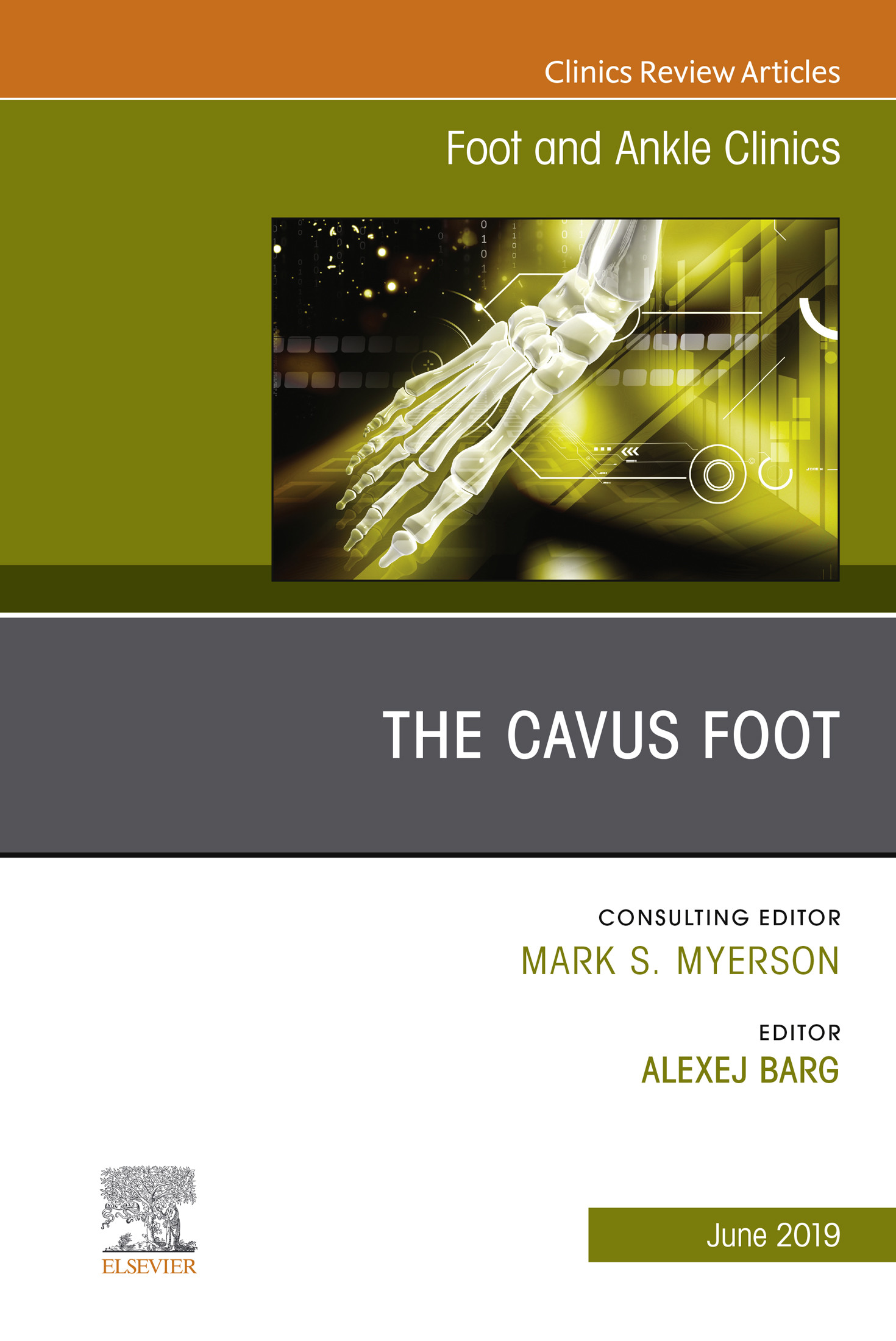 Cover The Cavus Foot, An issue of Foot and Ankle Clinics of North America, Ebook
