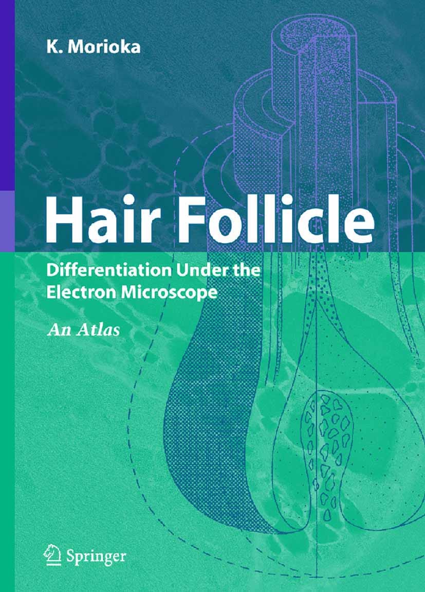 Cover Hair Follicle