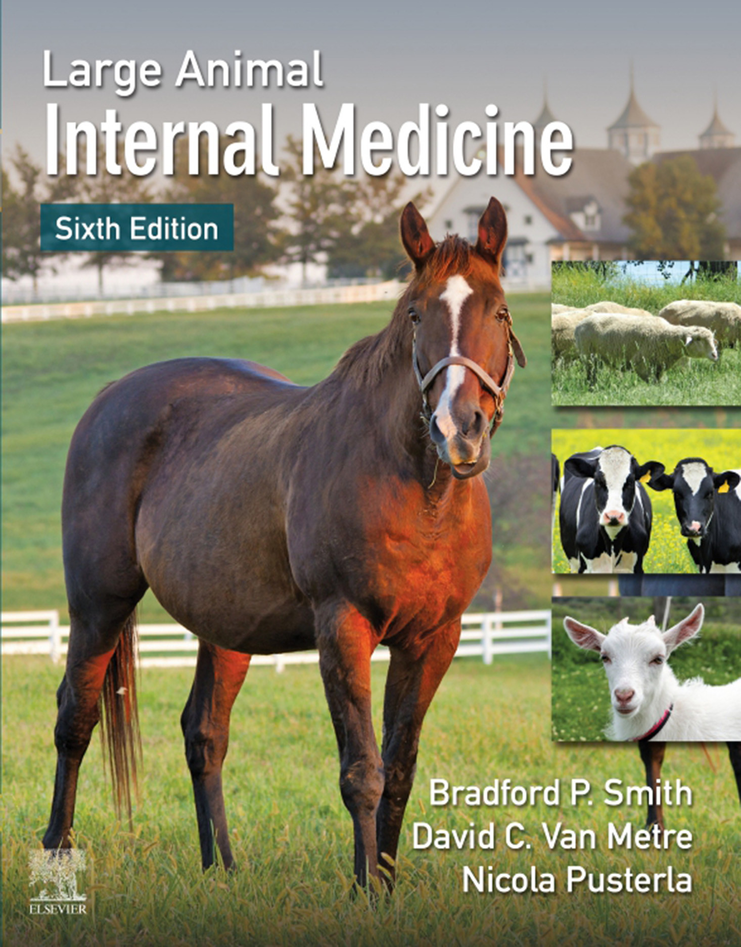 Cover Large Animal Internal Medicine - E-Book