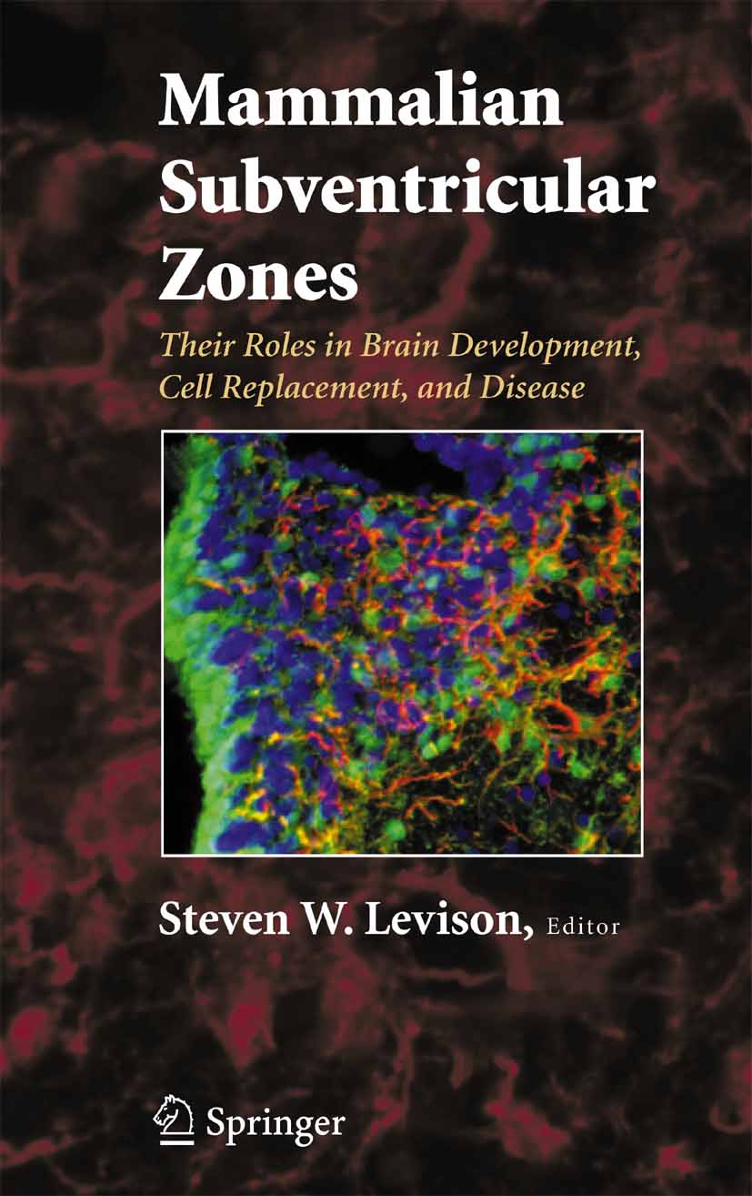 Cover Mammalian Subventricular Zones