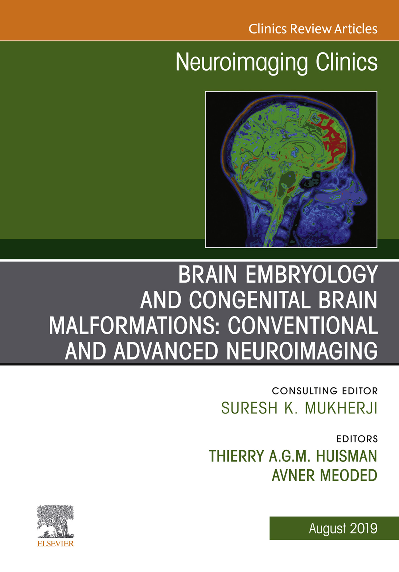 Cover Brain Embryology and the Cause of Congenital Malformations, An Issue of Neuroimaging Clinics of North America, ebook