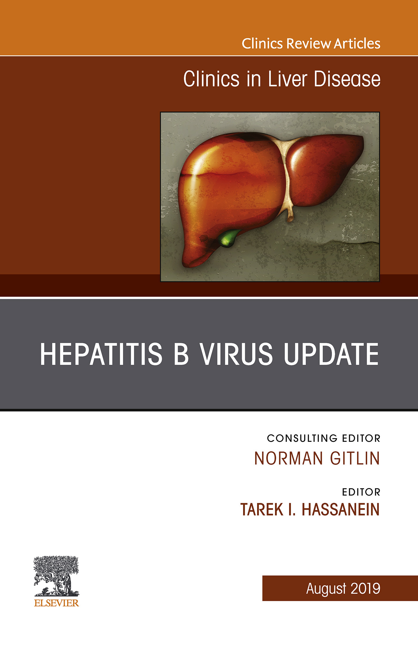 Cover Hepatitis B Virus, An Issue of Clinics in Liver Disease, Ebook