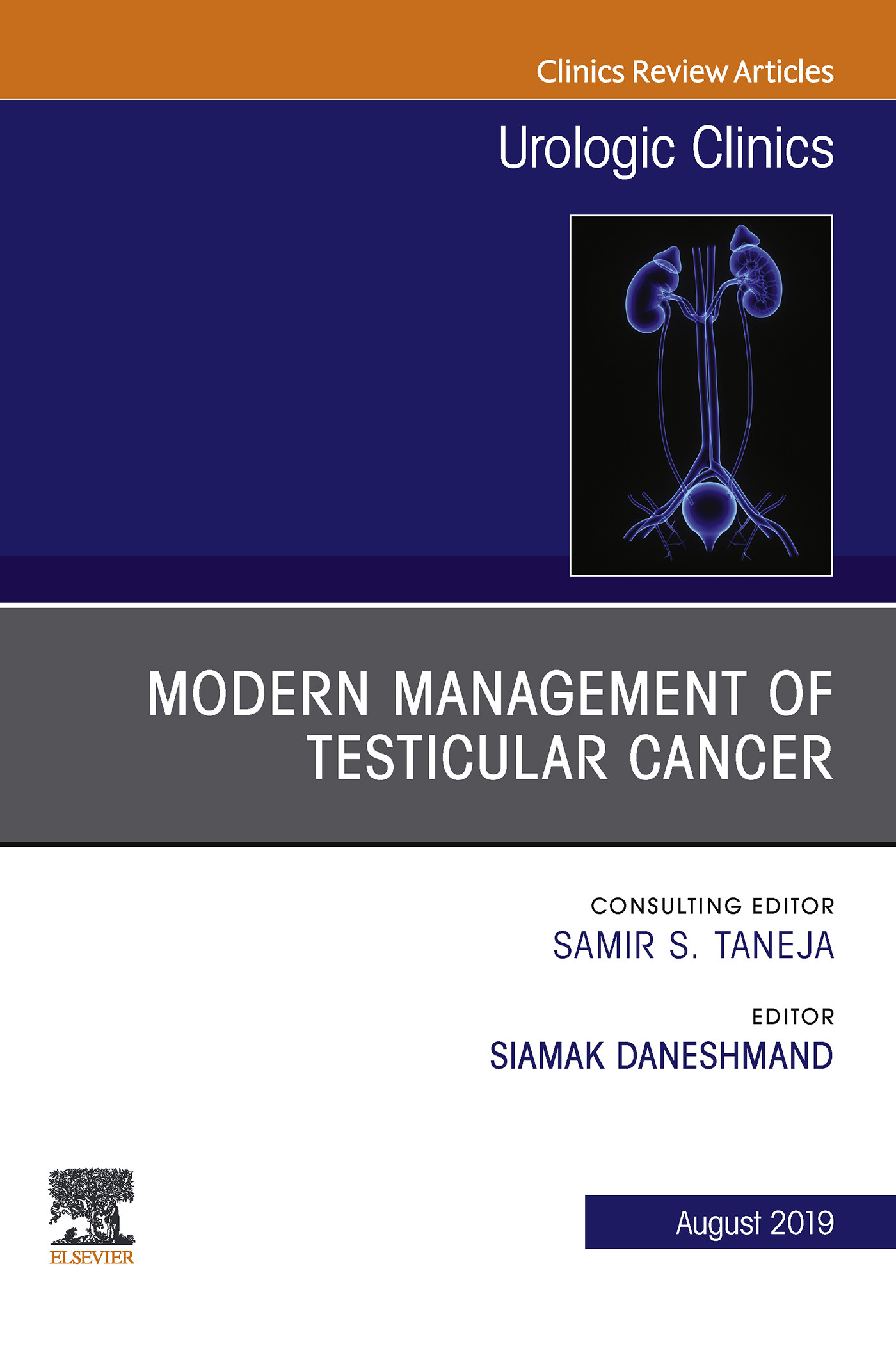 Cover Modern Management of Testicular Cancer E-Book
