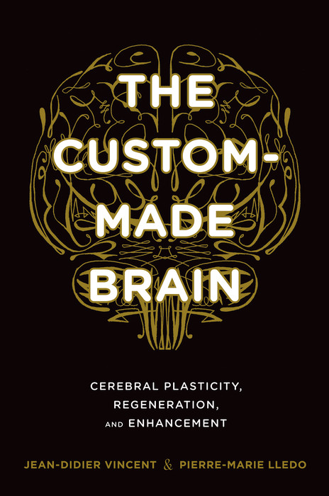 Cover The Custom-Made Brain