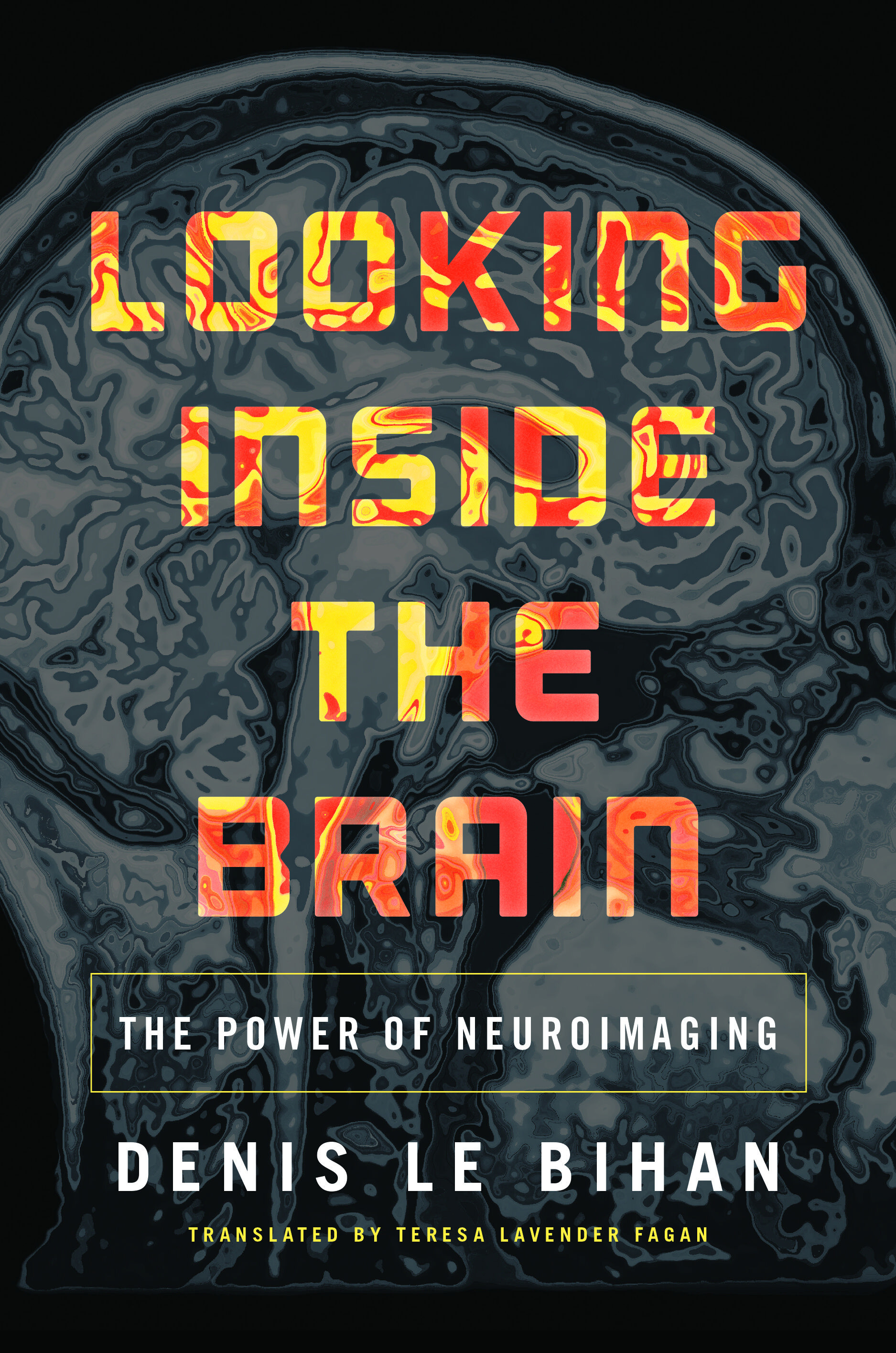 Cover Looking Inside the Brain