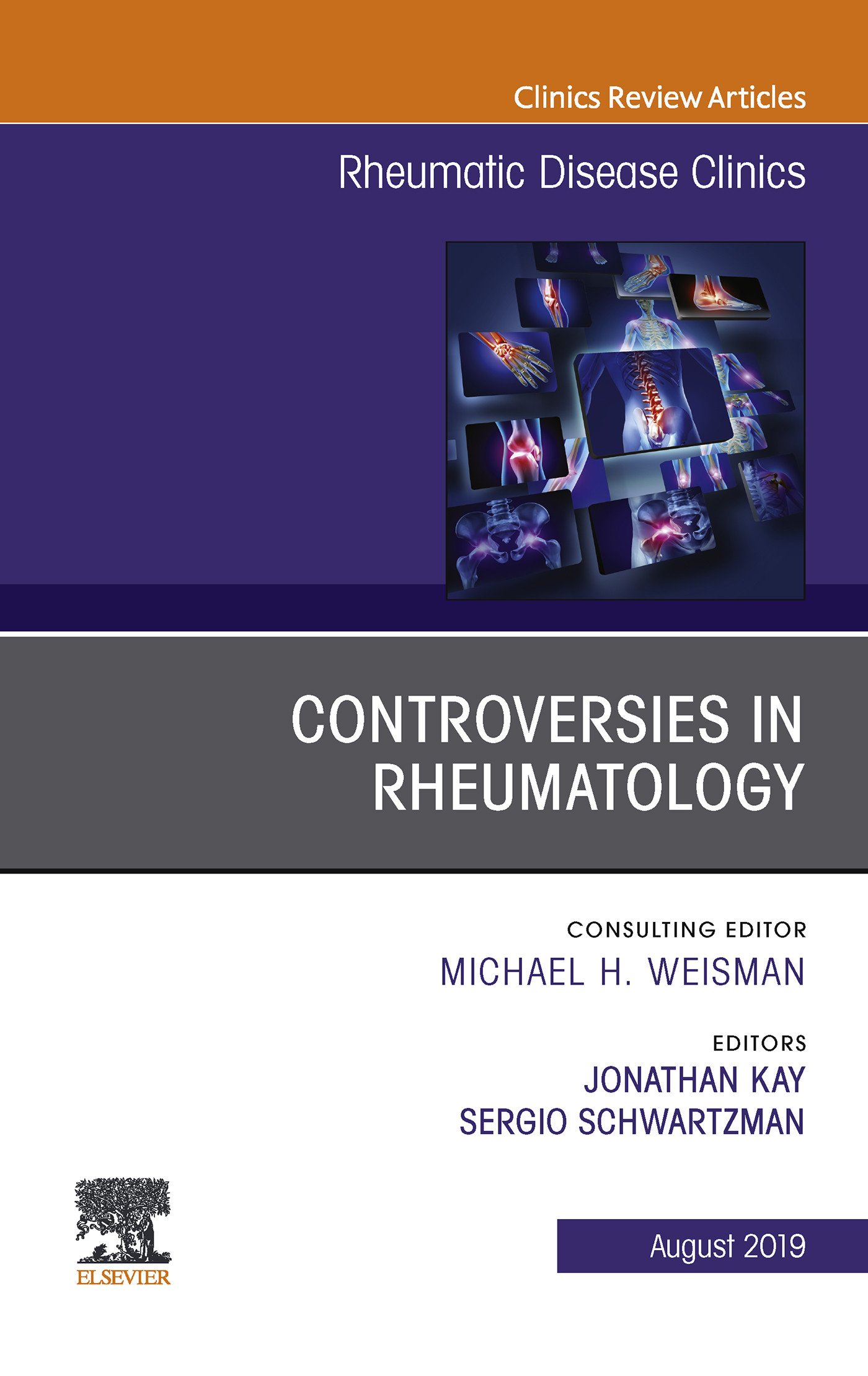 Cover Controversies in Rheumatology,An Issue of Rheumatic Disease Clinics of North America EBook