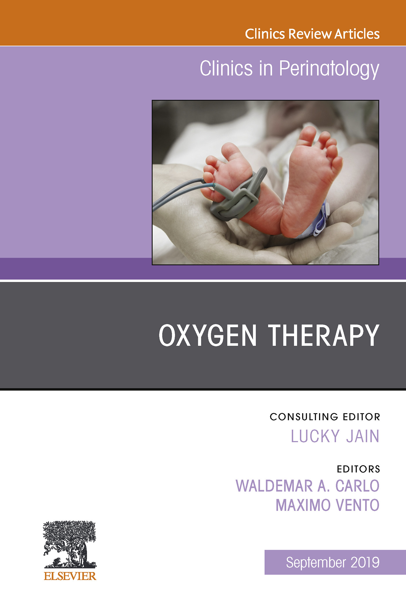 Oxygen Therapy, An Issue of Clinics in Perinatology, Ebook