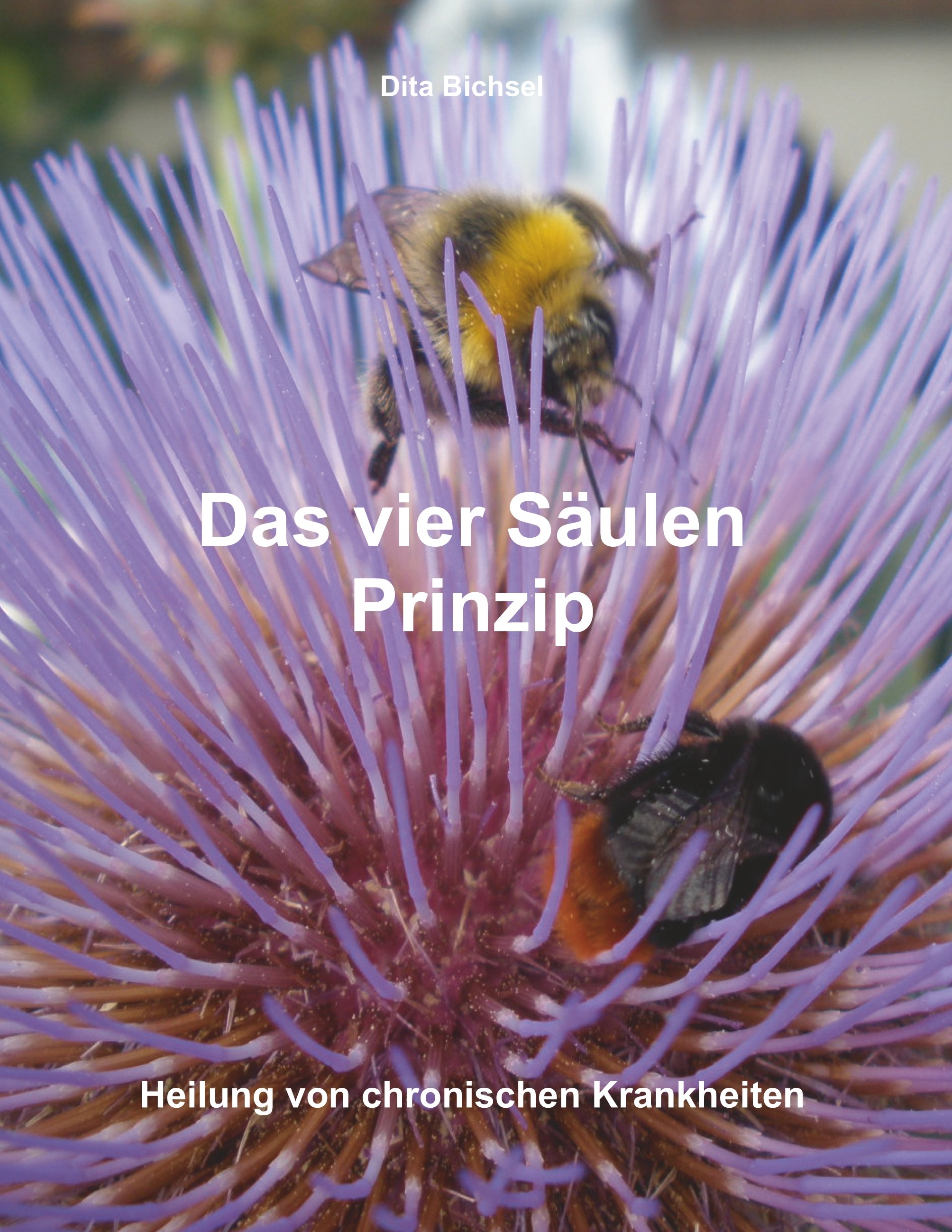 Cover Das vier Säulen Prinzip