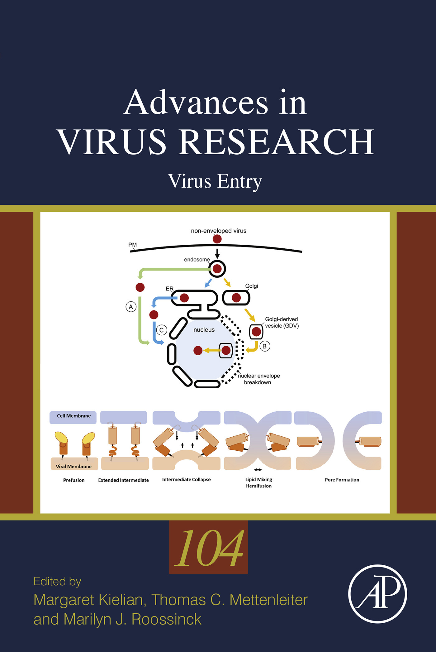 Cover Virus Entry