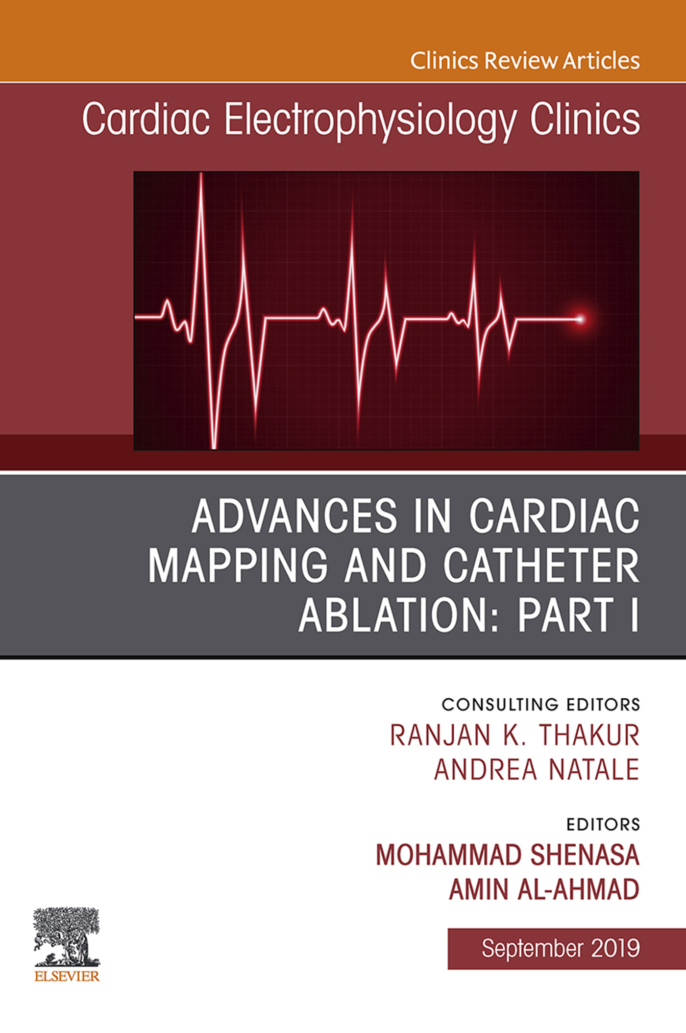 Advances in Cardiac Mapping and Catheter Ablation: Part I, An Issue of Cardiac Electrophysiology Clinics, Ebook