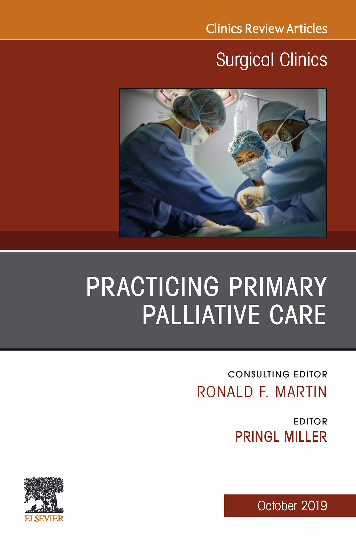 Cover Practicing Primary Palliative Care, An Issue of Surgical Clinics, Ebook