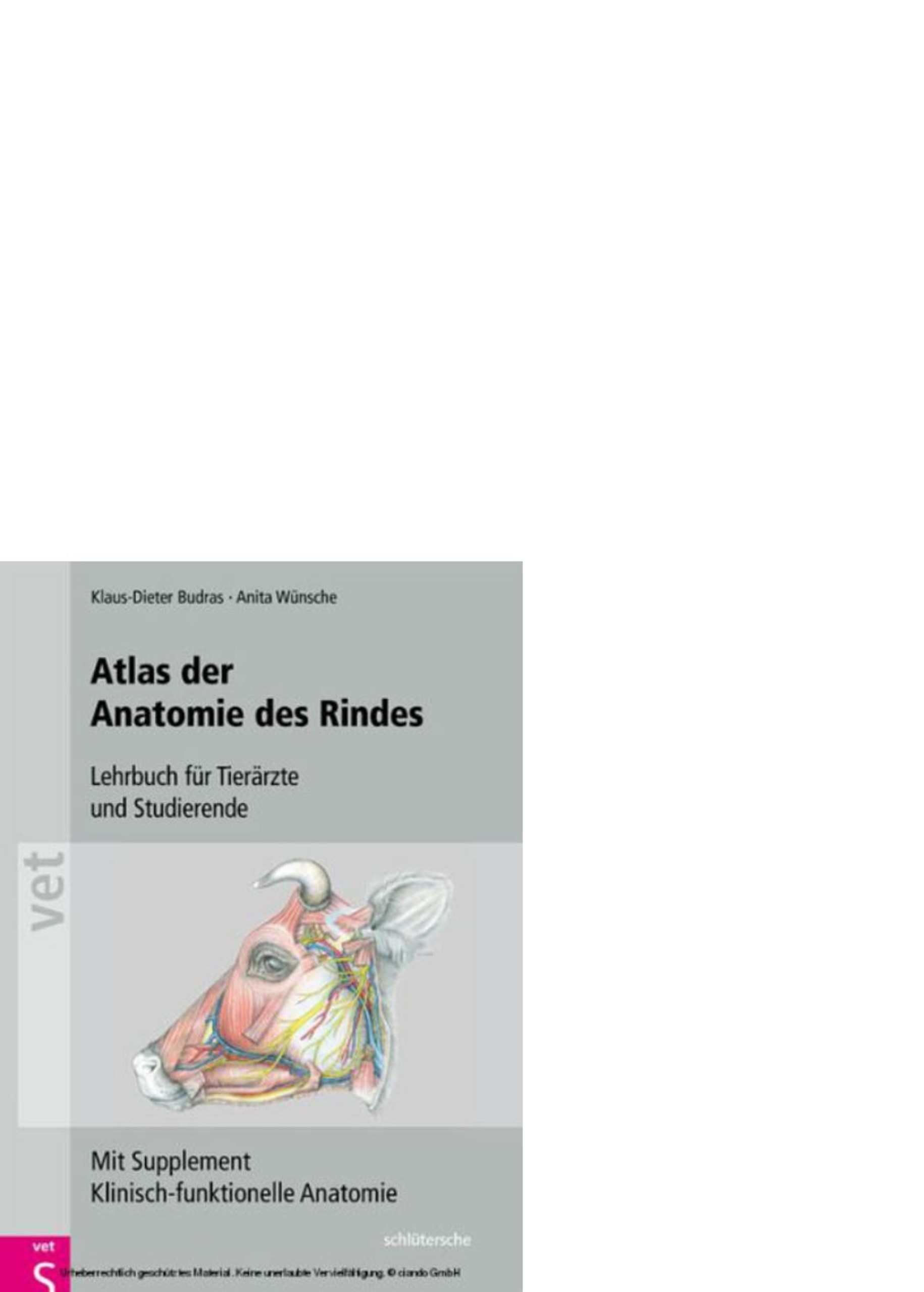Cover Atlas der Anatomie des Rindes