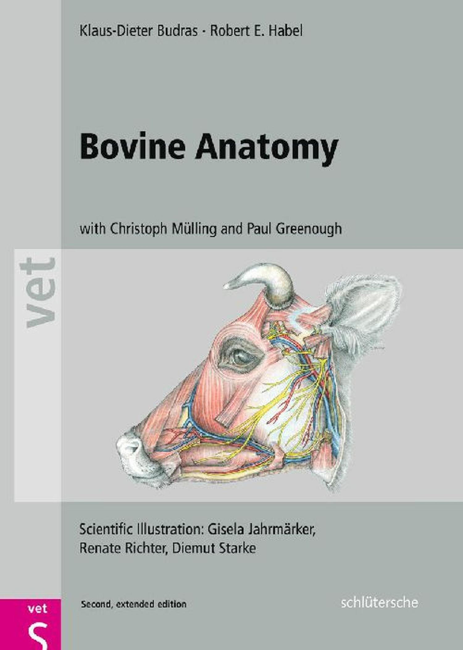 Cover Bovine Anatomy