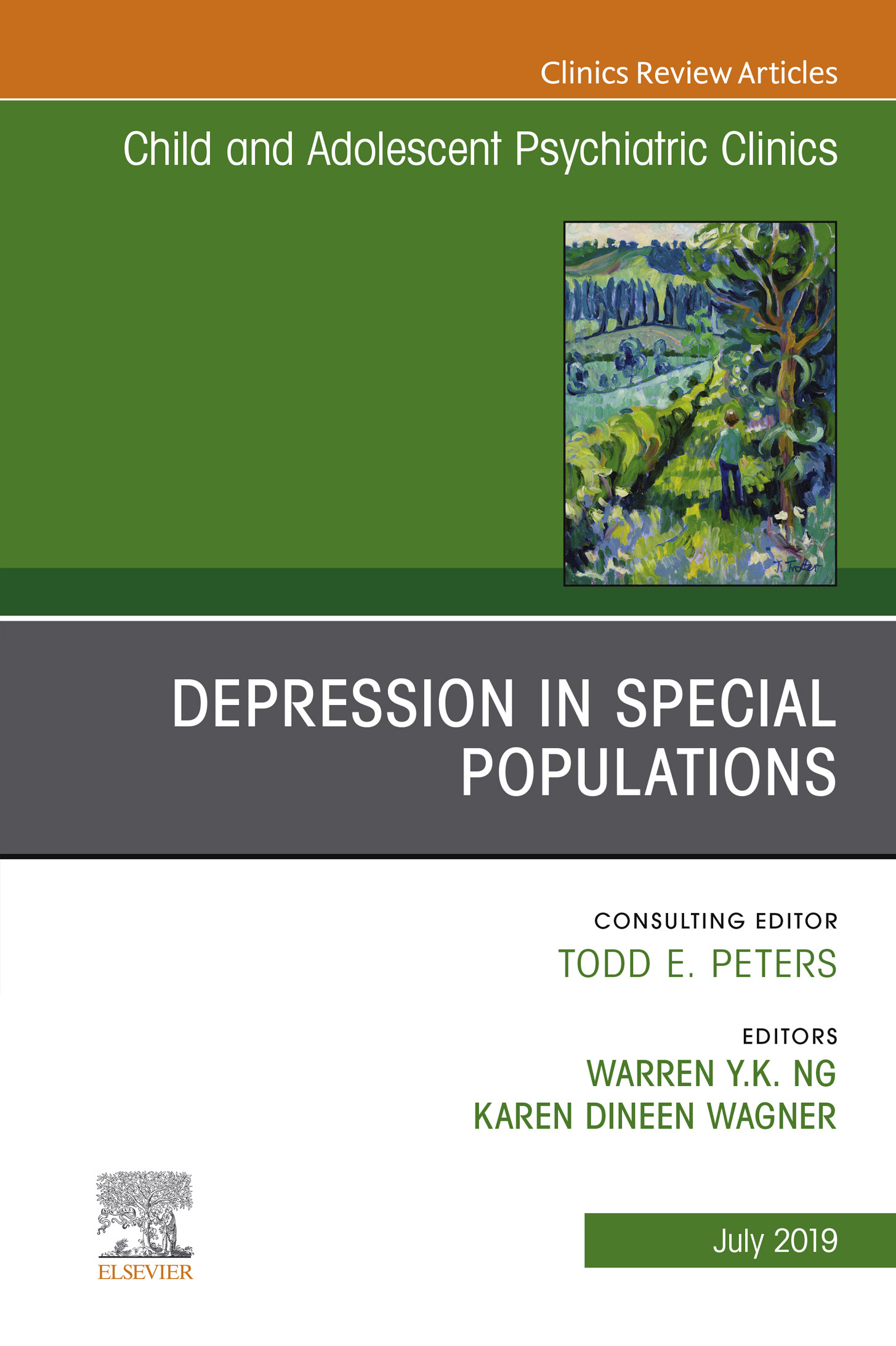 Depression in Special Populations, An Issue of Child and Adolescent Psychiatric Clinics of North America E-Book