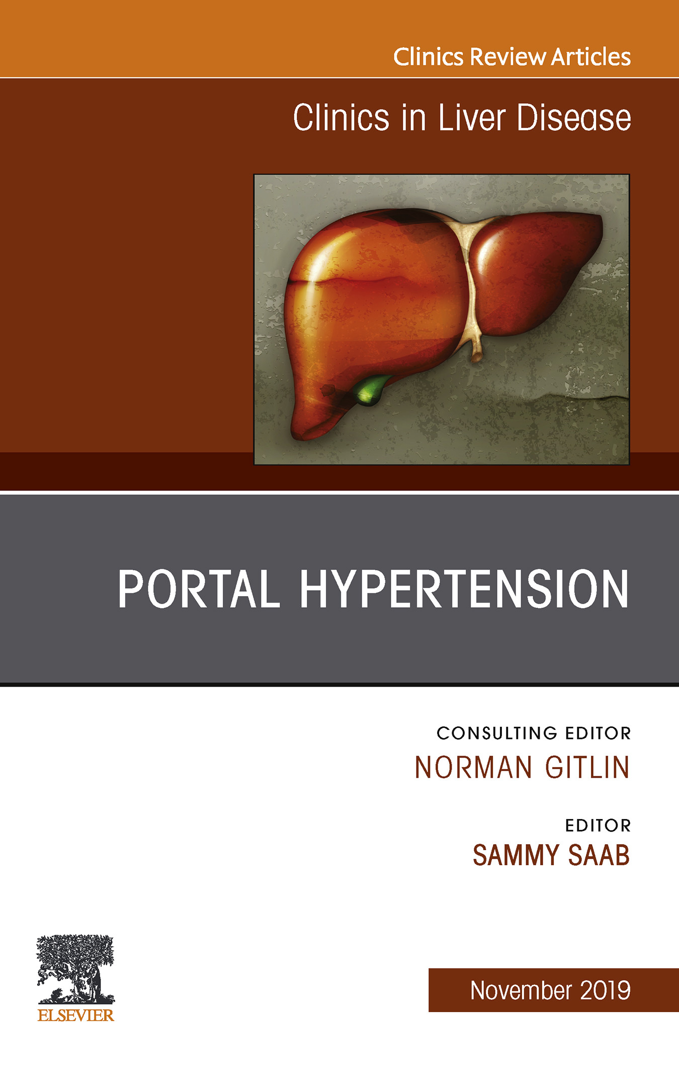 Portal Hypertension E-Book